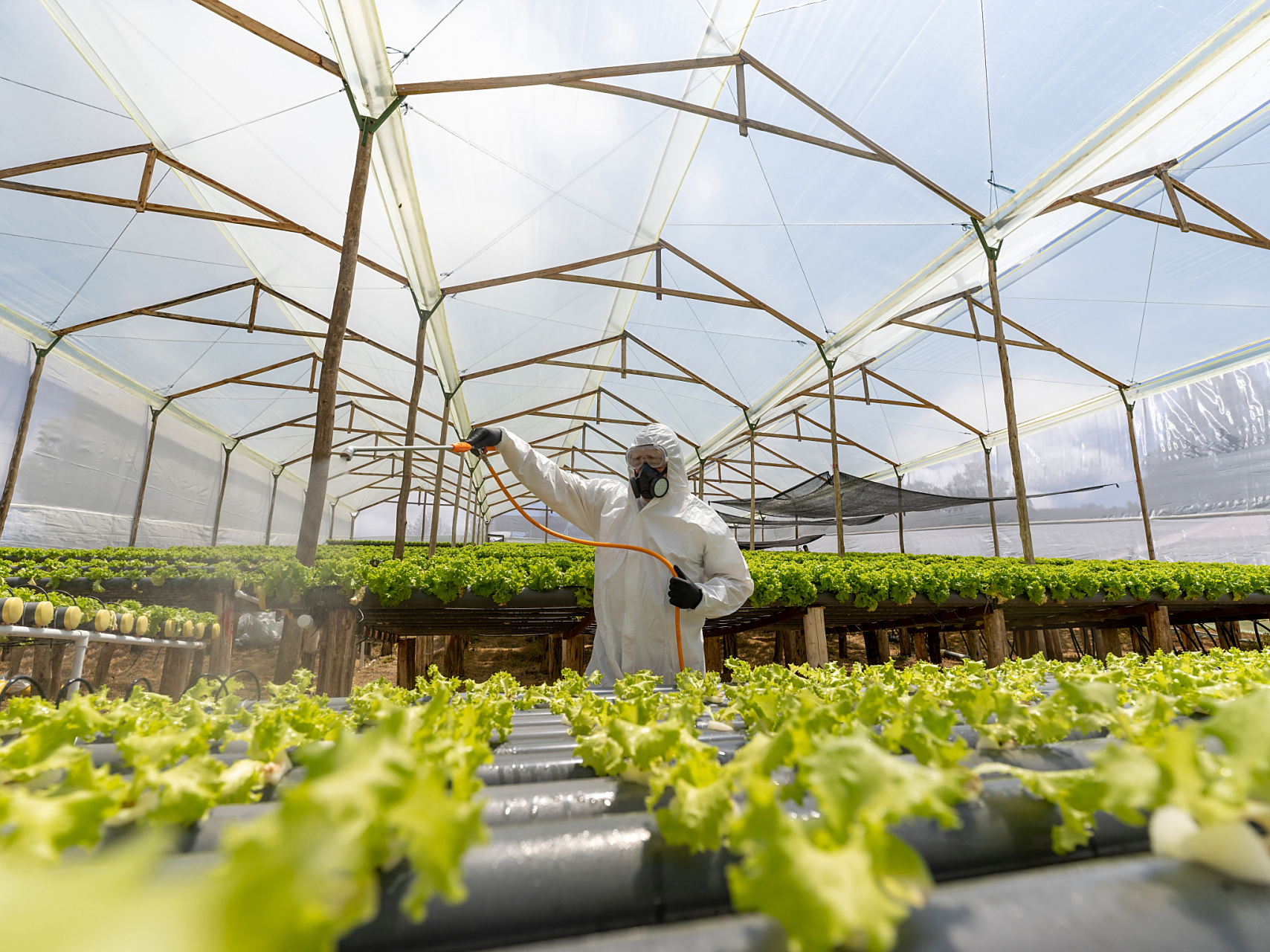 农业科学与工程专业是一个专门研究设施农业相关科学理论和技术的专业