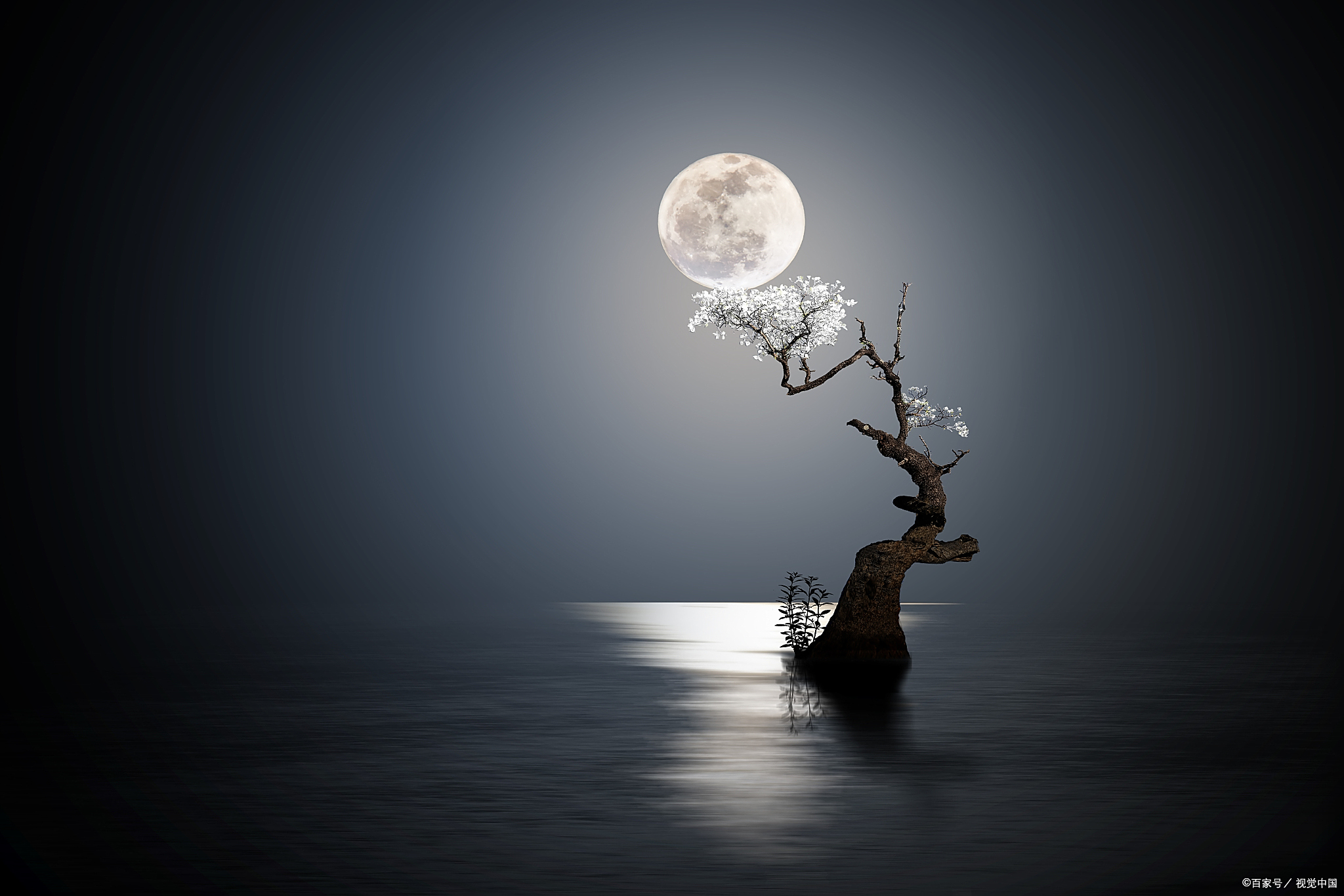 中秋赏月:8个技巧教你拍摄唯美月亮 中秋佳节,赏月是传统习俗之一,而