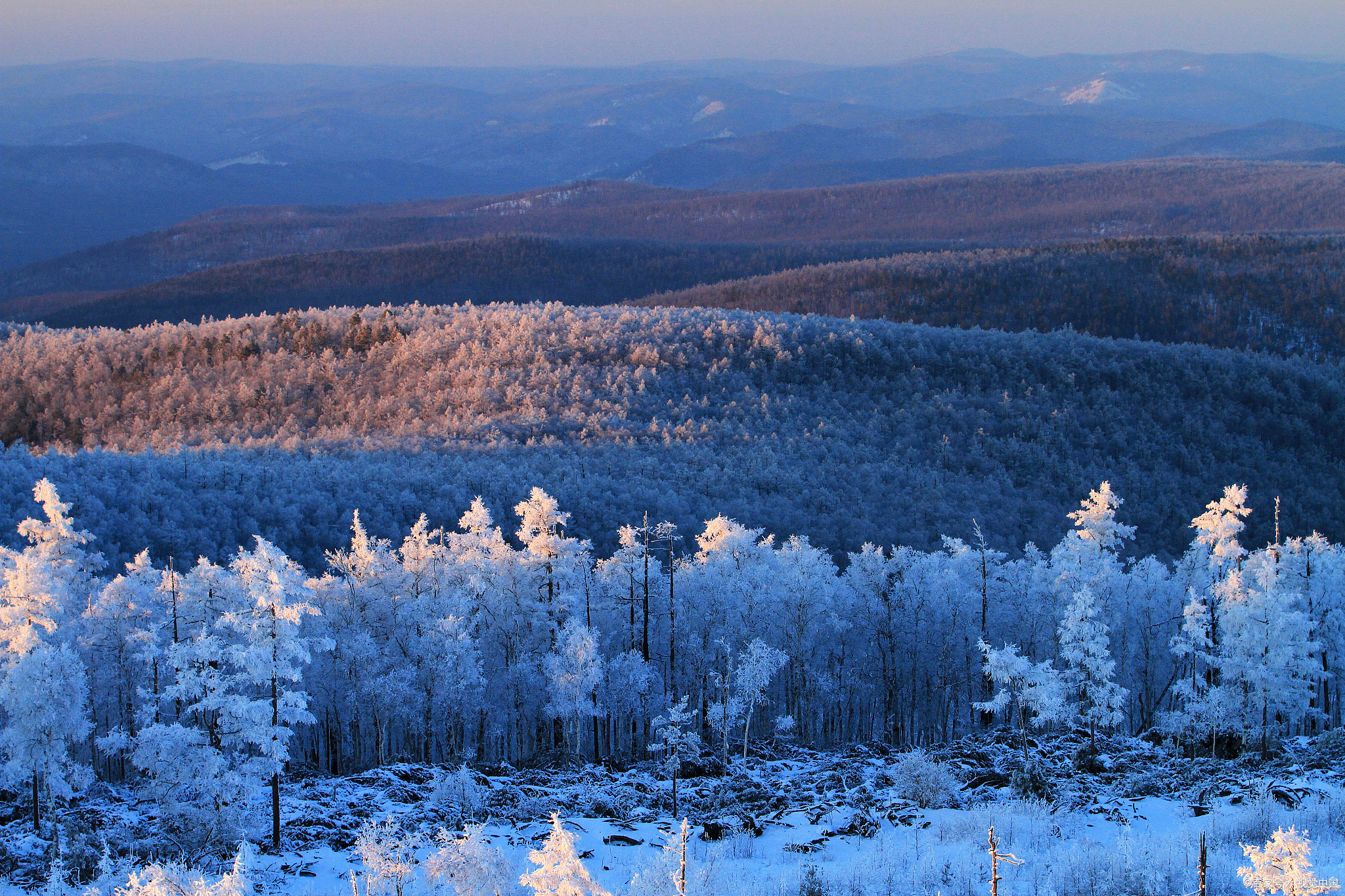 大兴安岭国家级自然保护区:草原,湖泊与温泉的完美结合