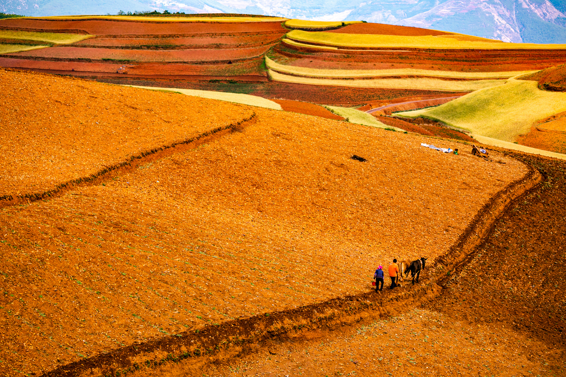 厕所冲水全是红色,吓坏小孩子  4月29日,云南曲靖的陆良县母鸡山服务
