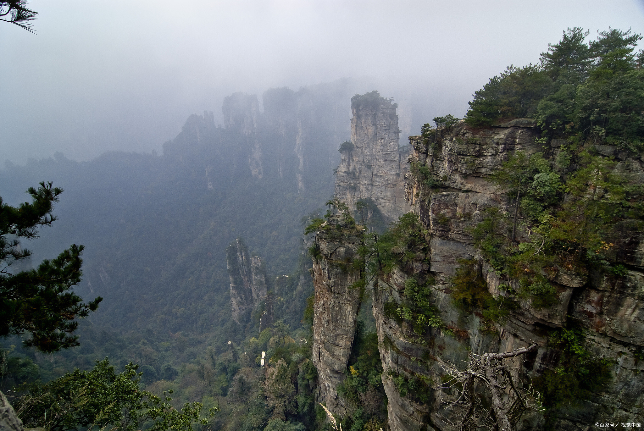 莽山国家森林公园旅游图片