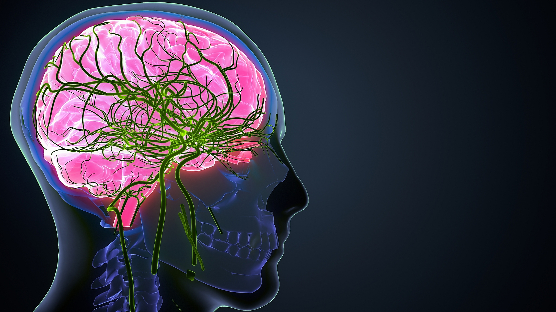 其实有很多中枢神经系统疾病或全身性疾病都可以引起癫痫:先天性