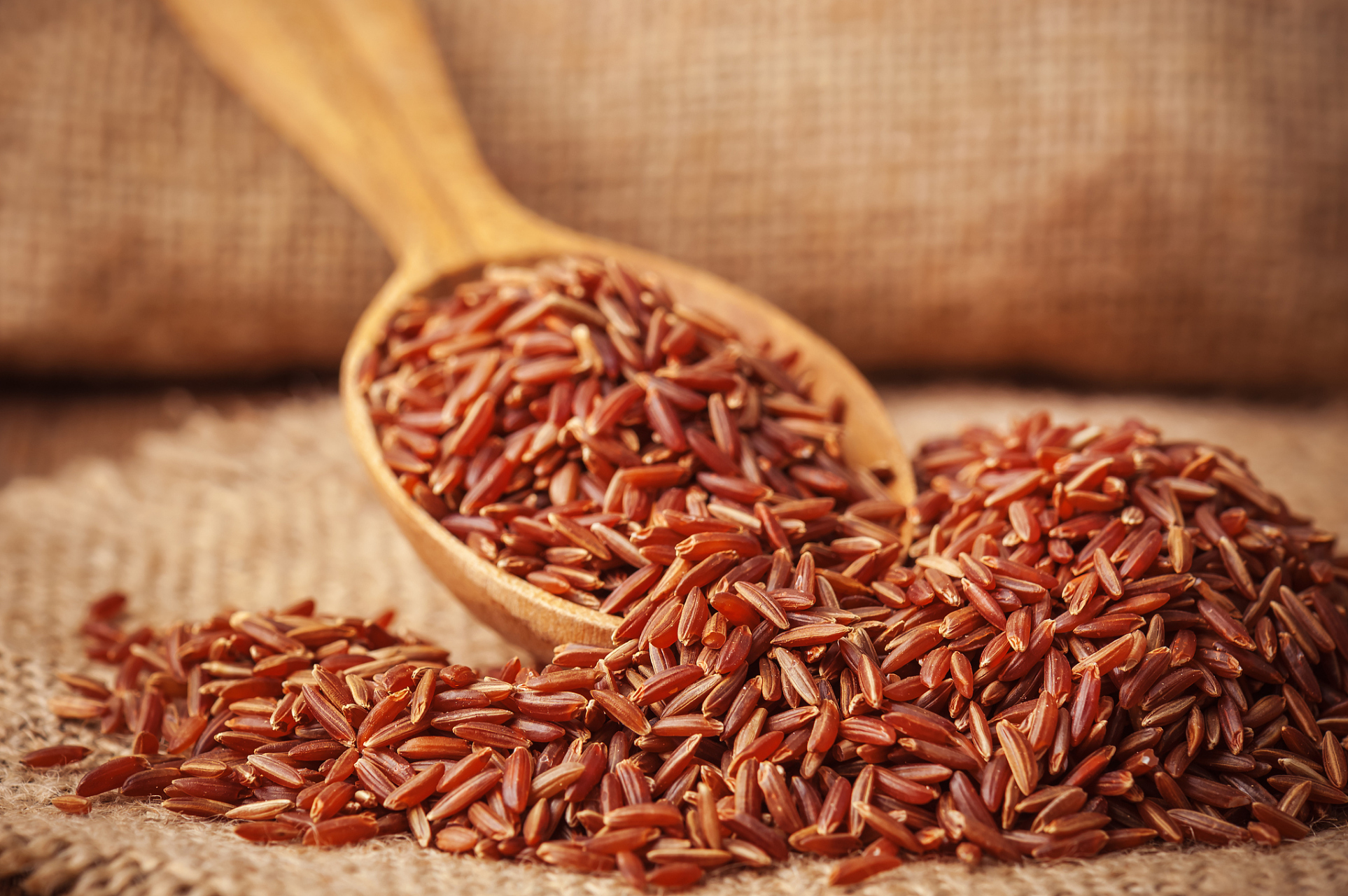 寻味主理人# 在井冈山这片热土上,有一种特殊的粮食——井冈山红米