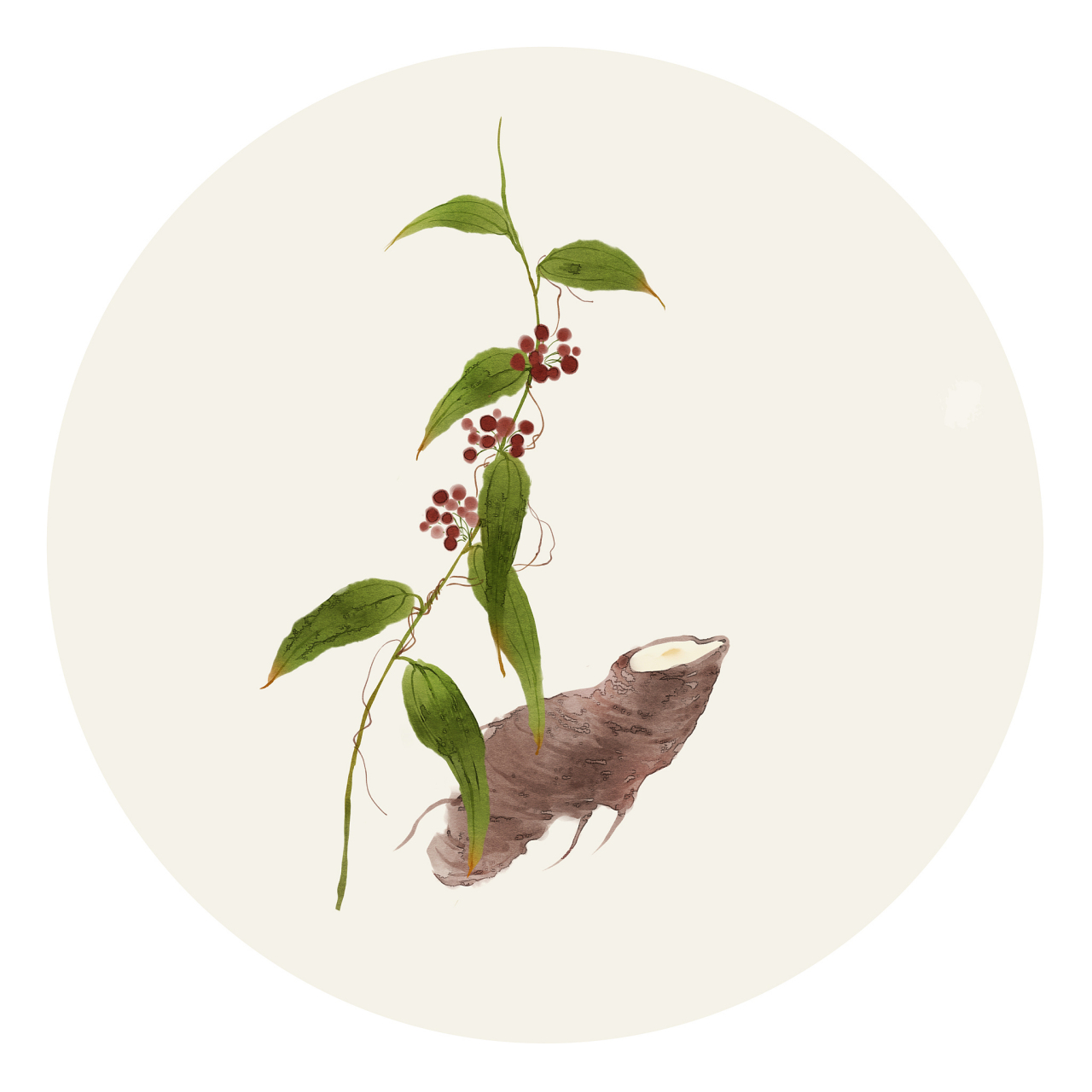 1,茯苓——利水渗湿,健脾,安神 2,薏苡仁——利水渗湿,健脾止泻,除痹
