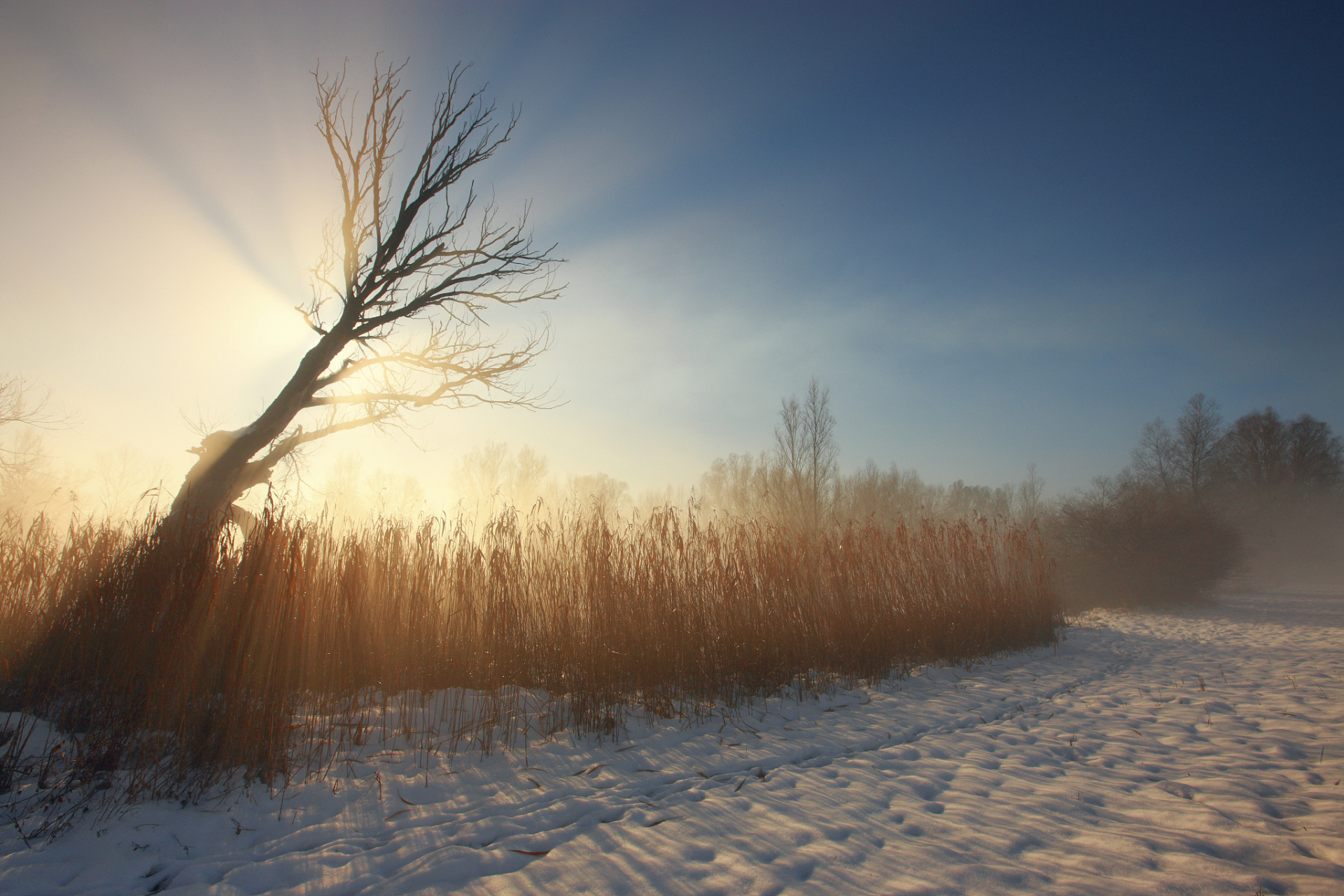 我喜欢冬天里的阳光,没有夏天的炽烈,却有着柔和温馨.