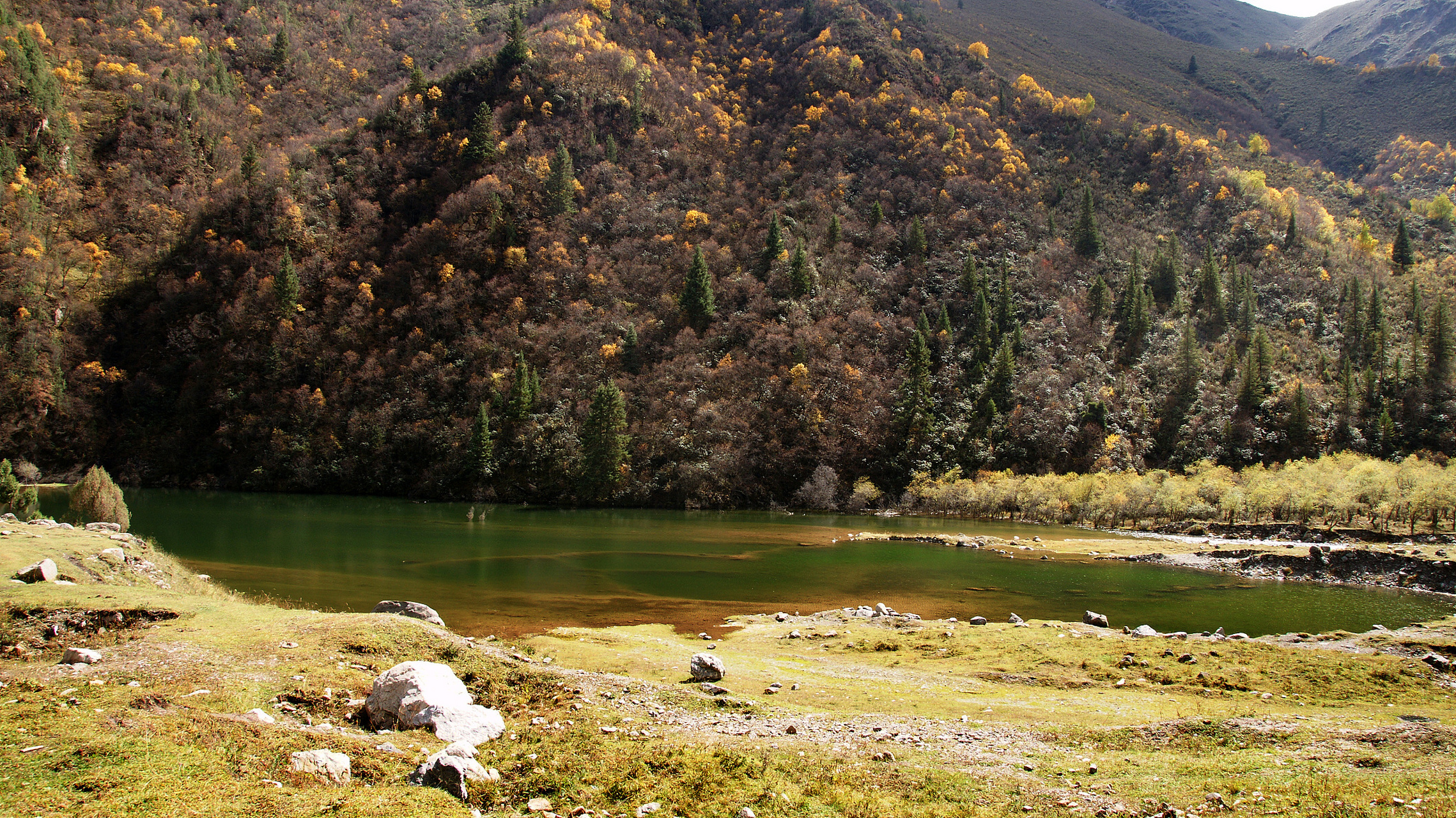 官鹅沟位于甘肃陇南宕昌县,是一个长约三十多公里的峡谷.