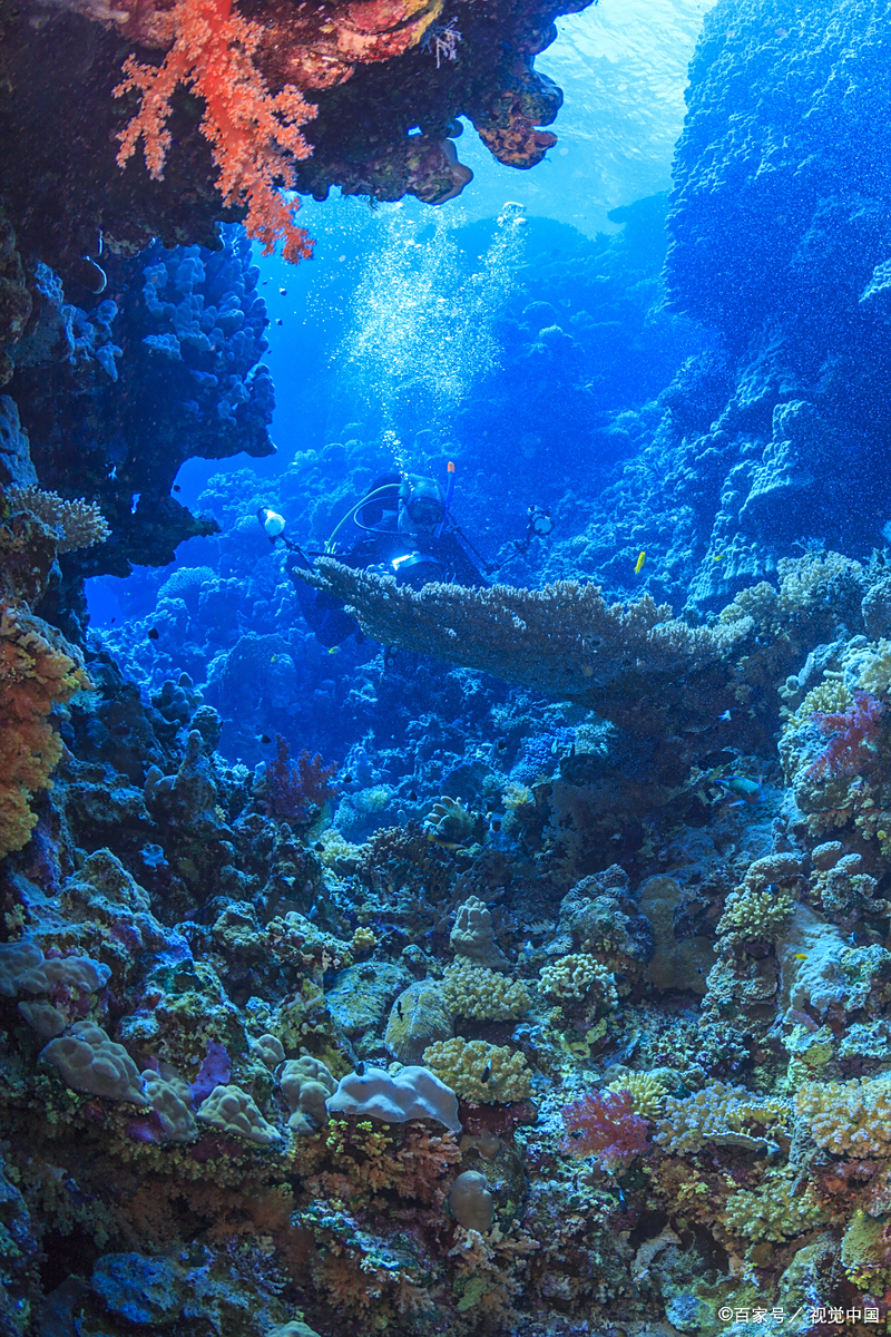 深海恐惧症应该如何治疗