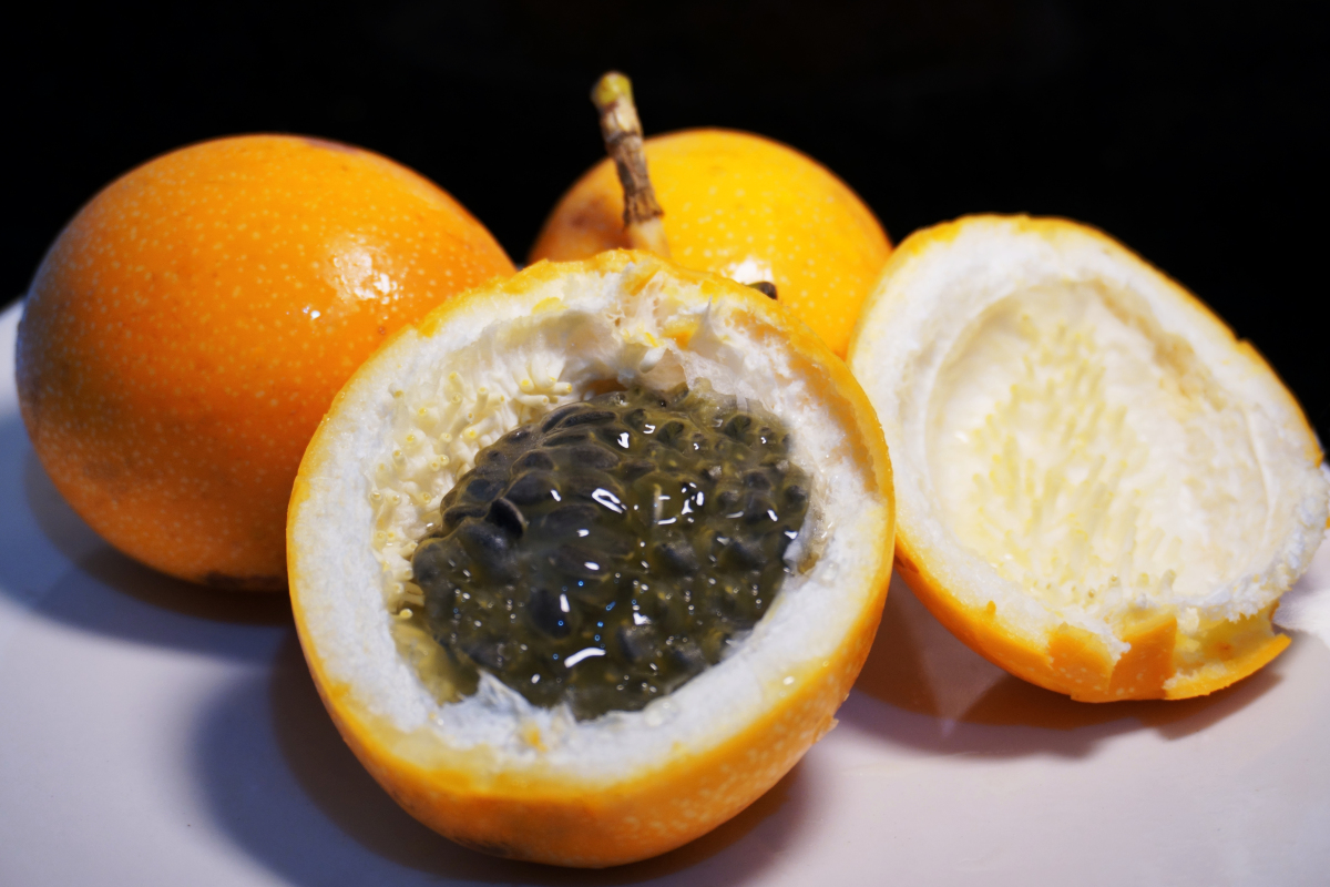 西番莲图片大全