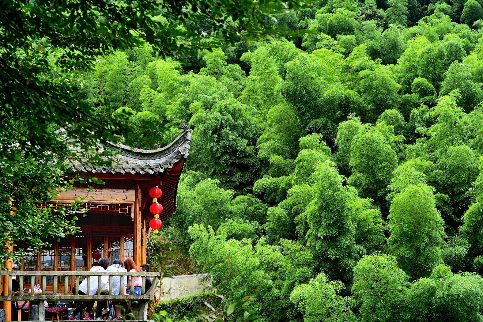 安吉,这个位于浙江省北部的美丽县城,以其丰富的竹子资源而闻名于世.