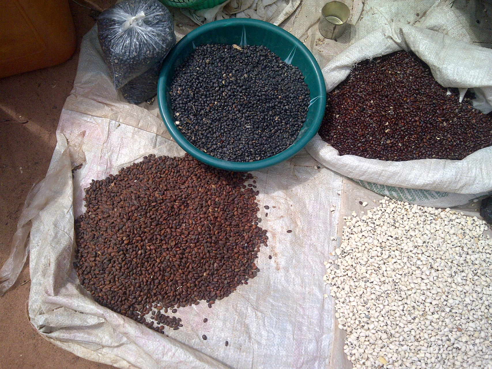 花椒籽的作用是什么	 花椒籽的功效与作用,通常有利水消肿,降气平喘