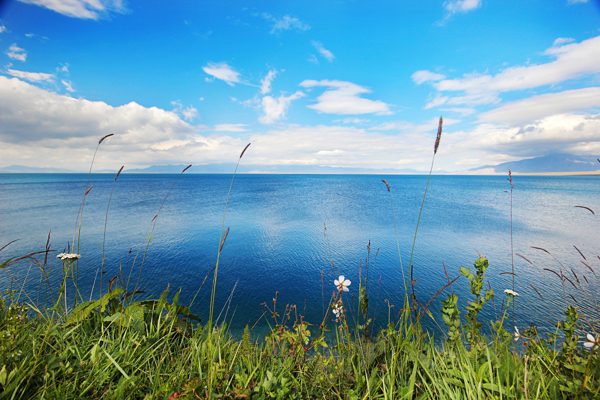 青海湖几月份去最佳时间: 青海湖是中国最大的内陆湖泊,位于青藏高原