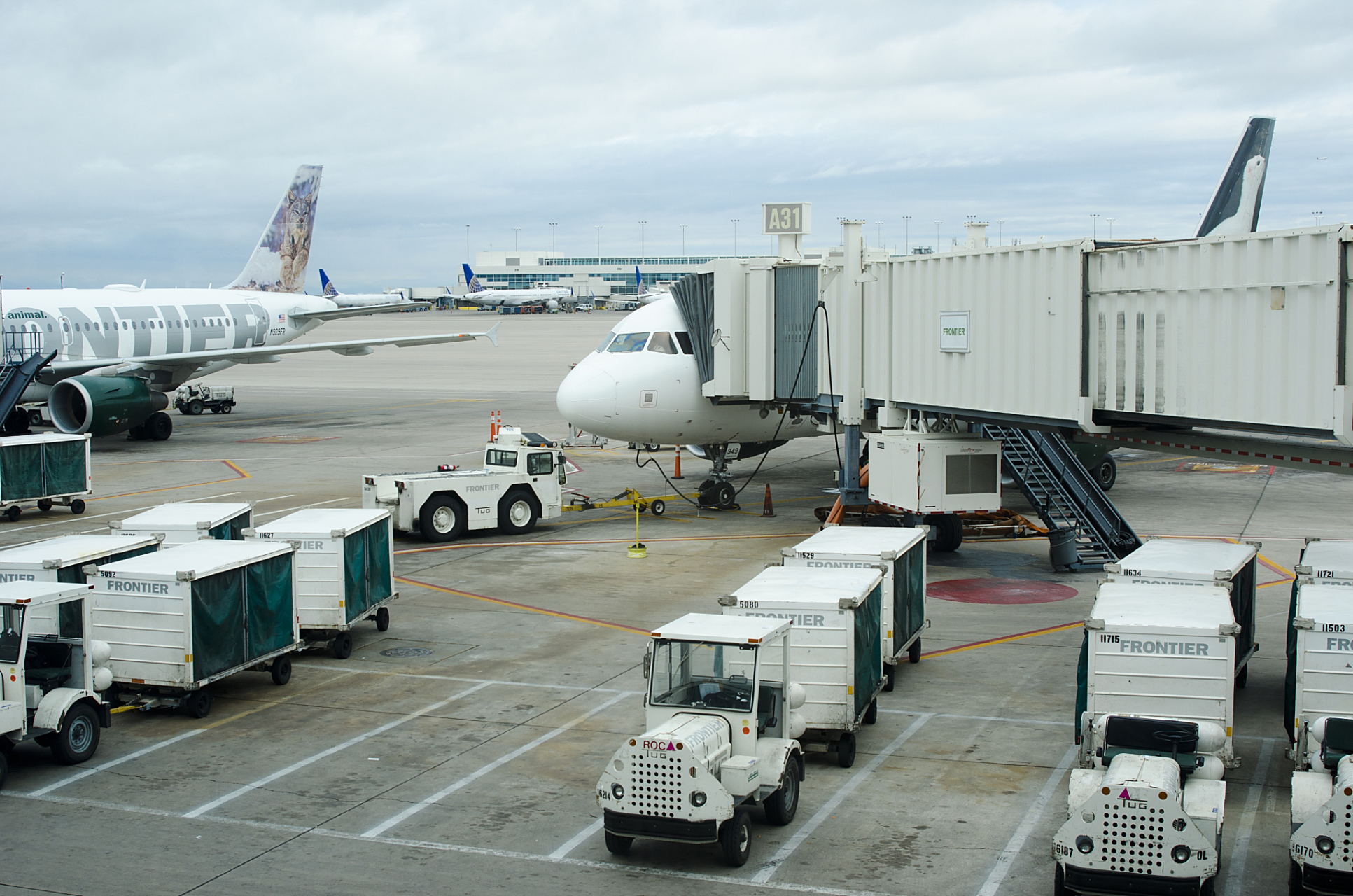 重庆荣昌机场项目至今仍停留在规划阶段,与此相比,隔壁湖北的鄂州花湖