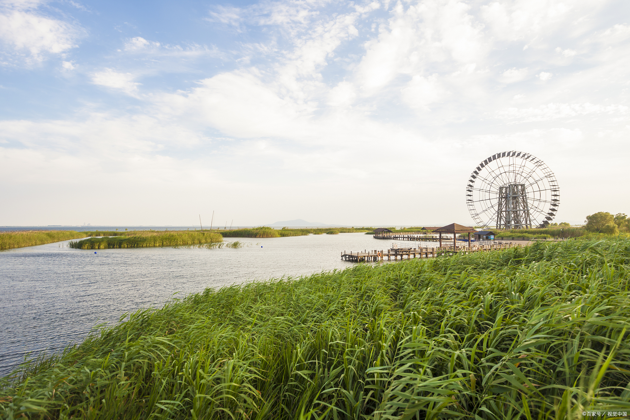 东滩湿地公园游玩攻略