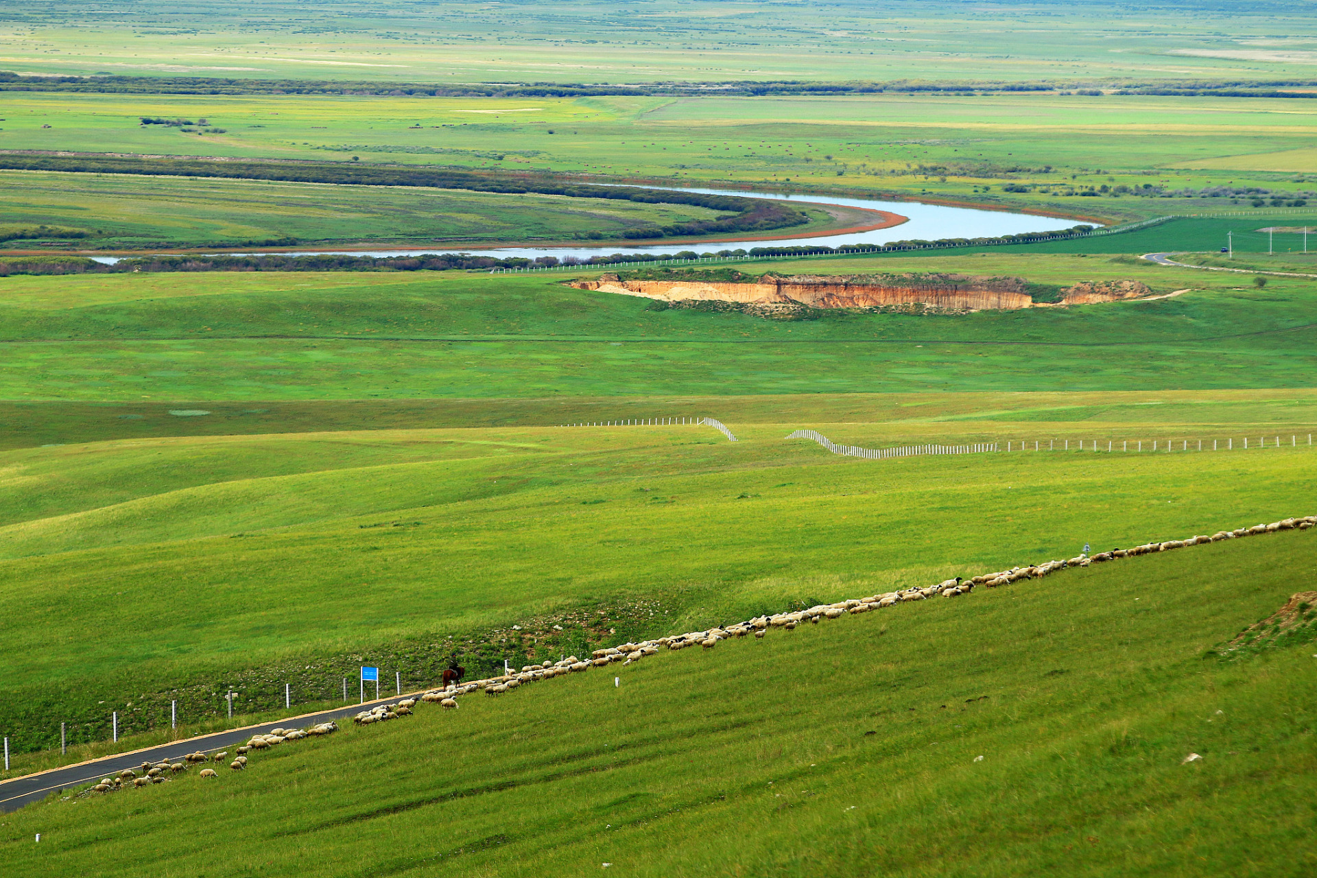 这片广袤的草原位于中国内蒙古自治区,以其壮丽的自然风光和独特的