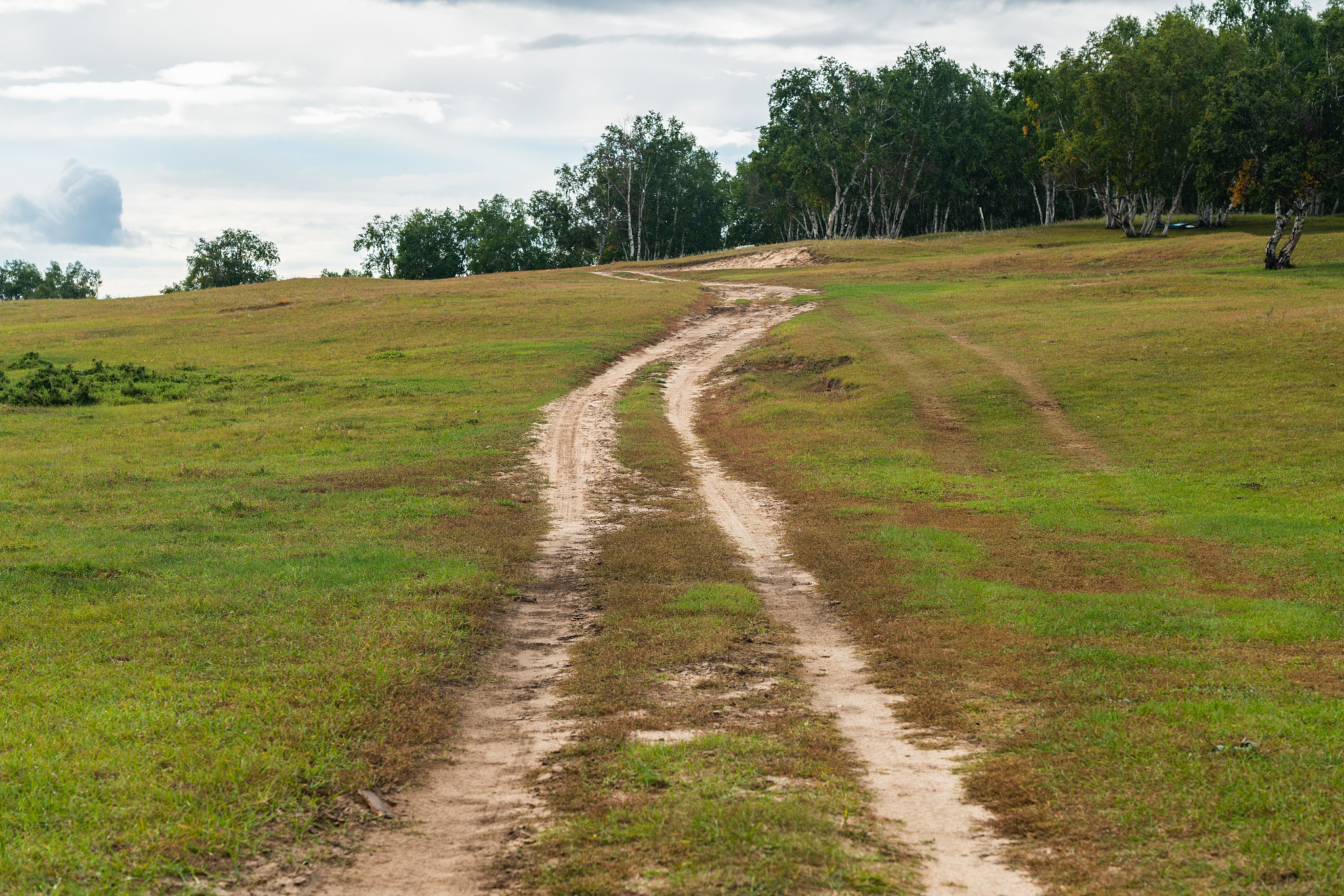 走在公园的小路上 随意的顺着小路弯弯绕绕 绕