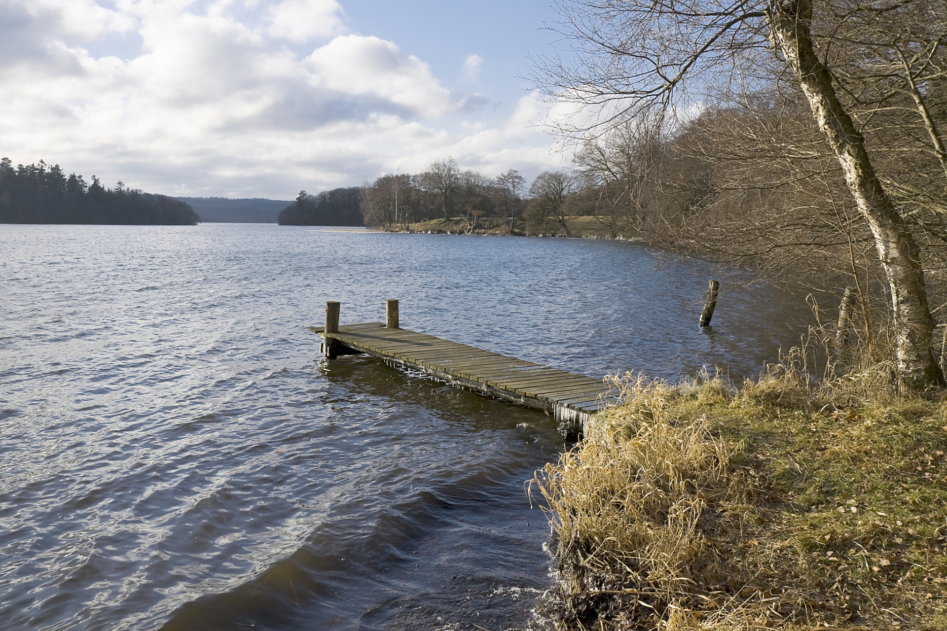 《瓦尔登湖》是梭罗的经典之作,带你领略大自然的美丽与宁静