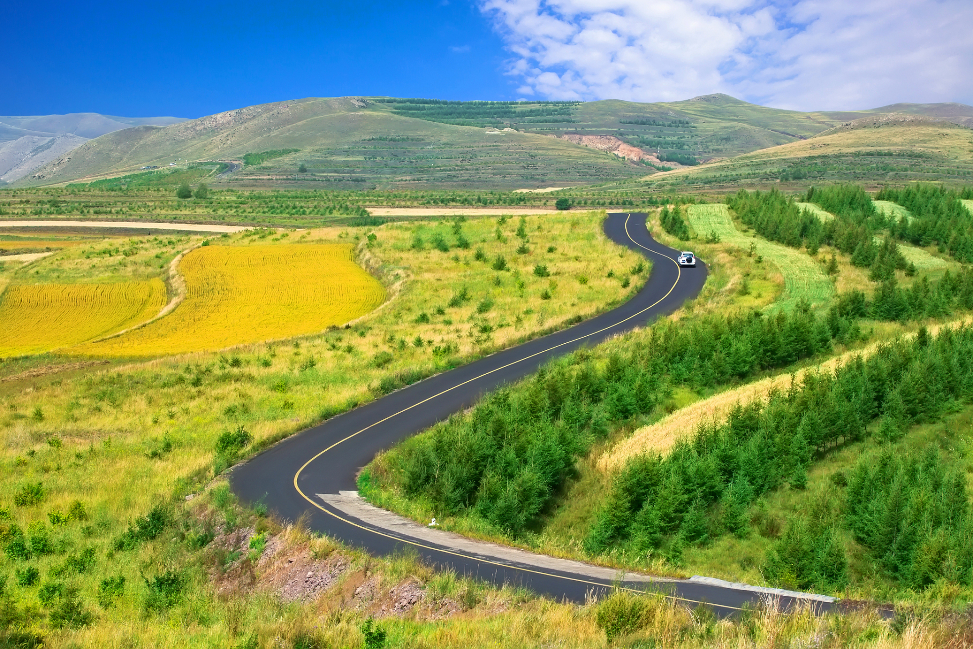 草原风景道路图片