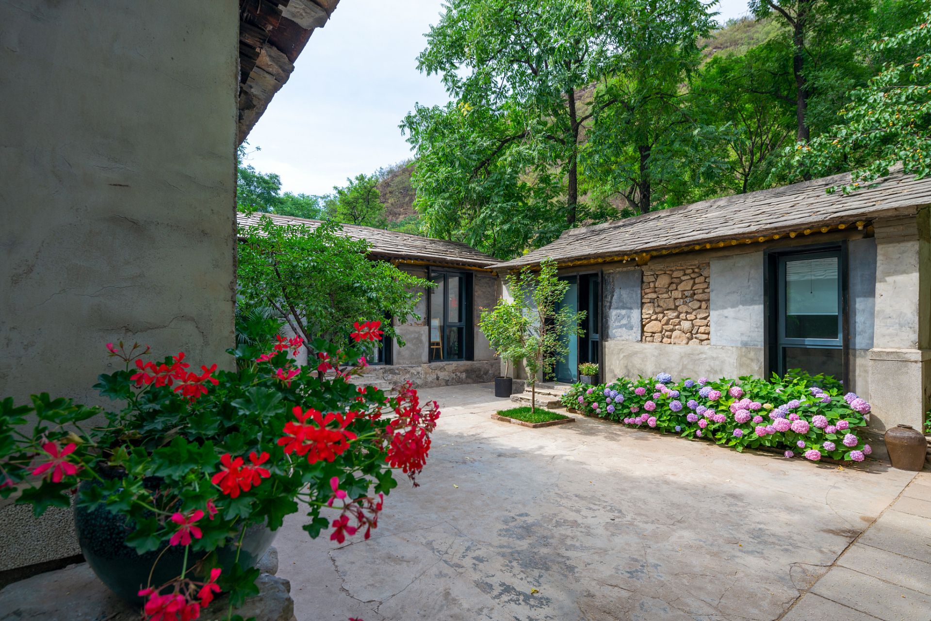 原创诗词 七绝·落花如梦 小院重门傍翠浓,春光过尽蝶匆匆.