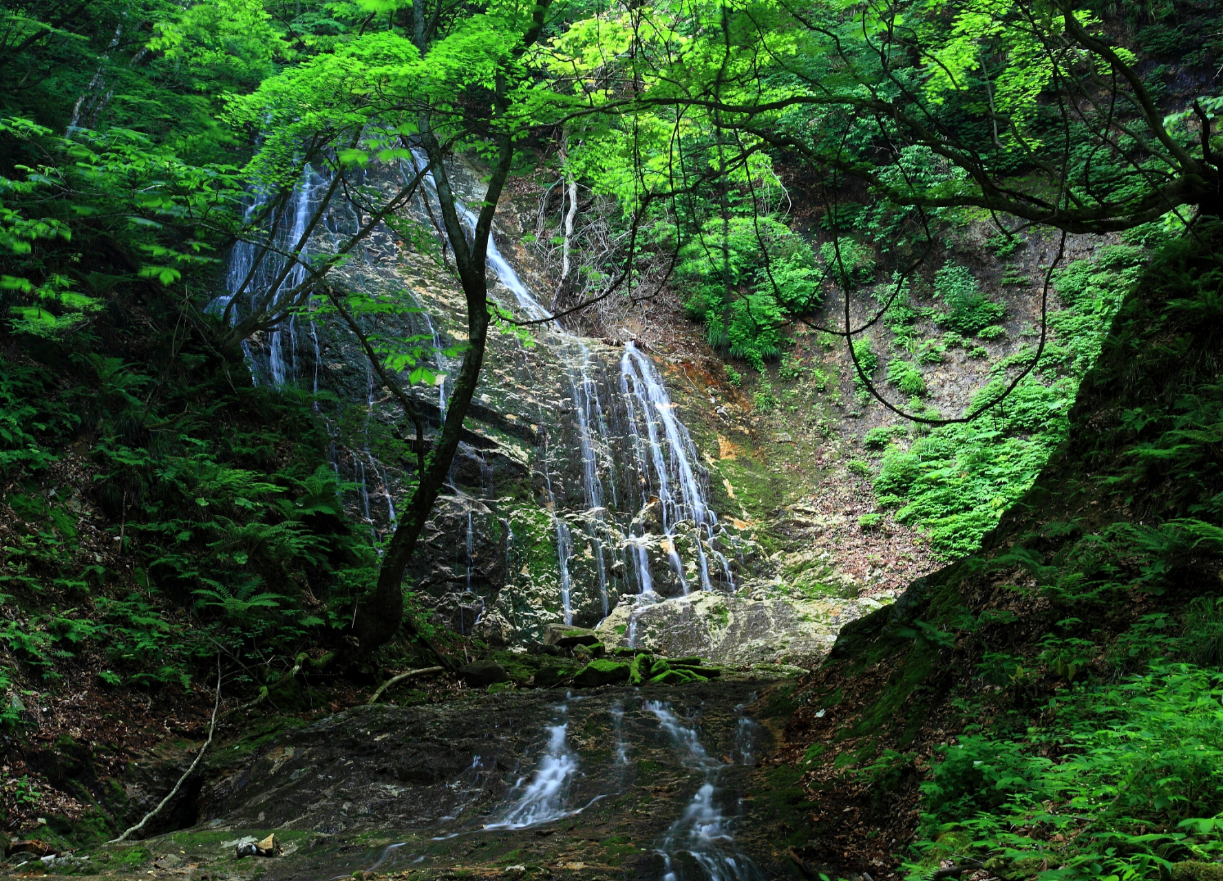 夏日慢慢游