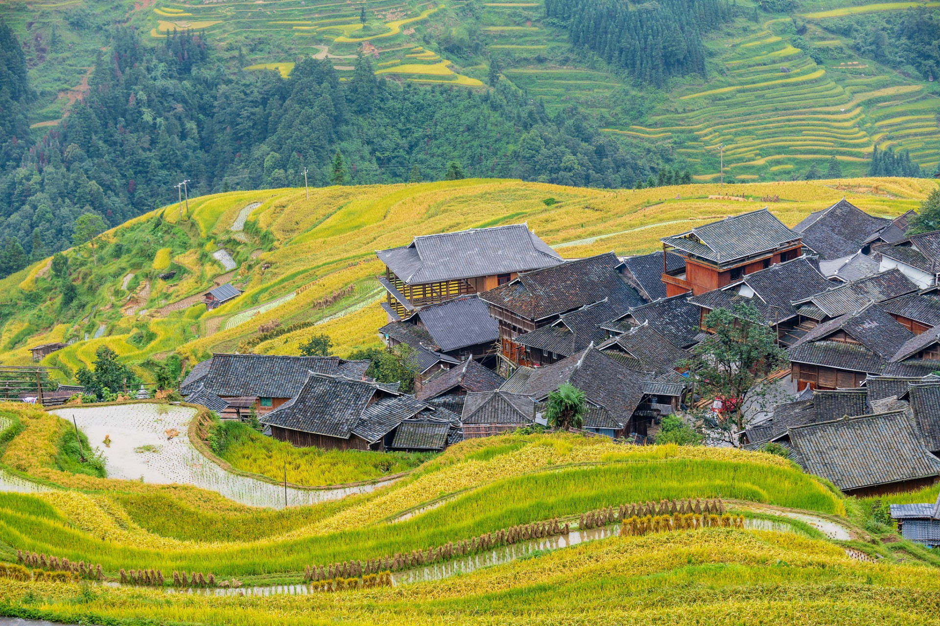 加榜梯田,位於貴州省黔東南苗族侗族自治州從江縣西部月亮山腹地的加