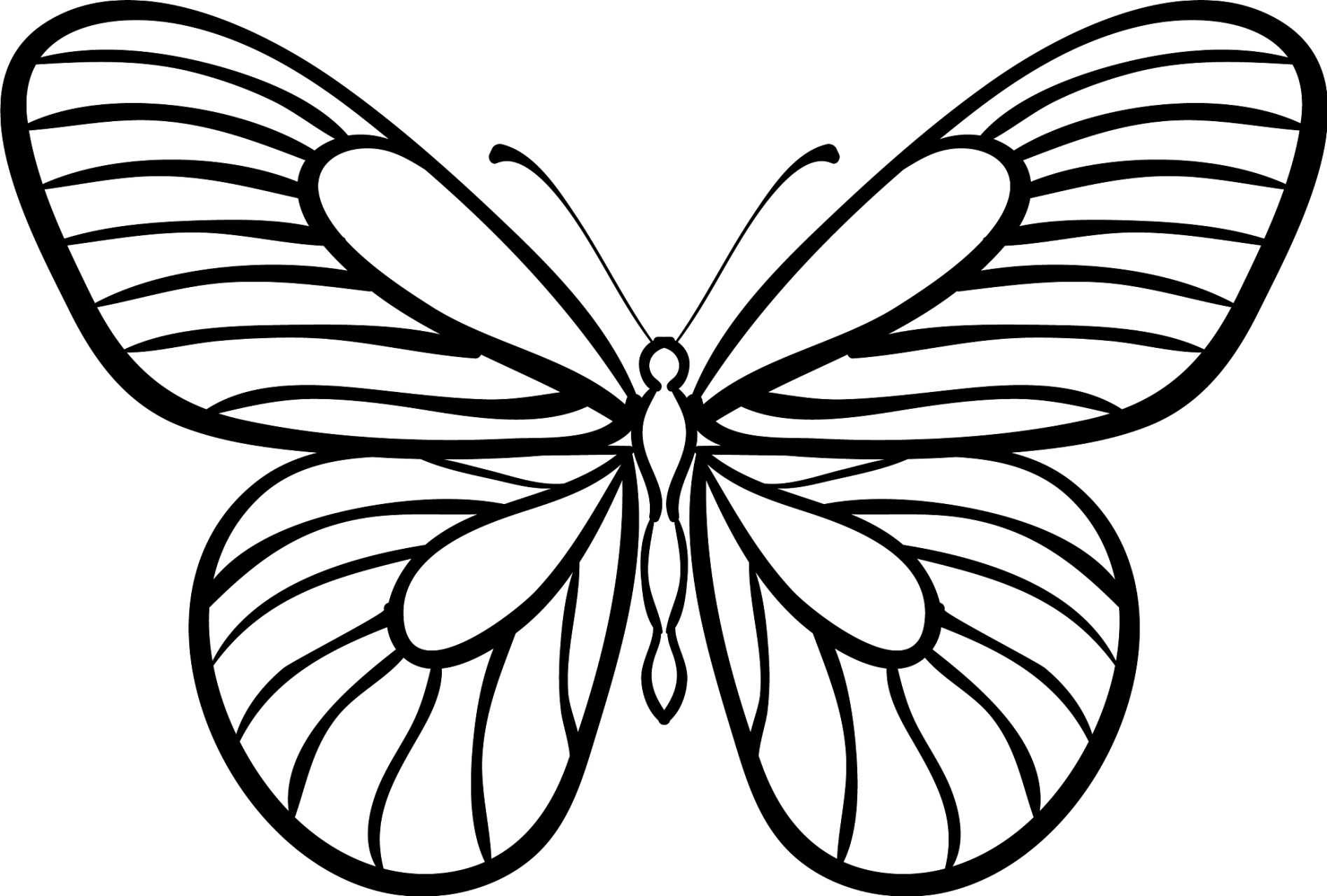 蝴蝶简笔画的步骤包括画椭圆形身体,大翅膀,花纹,大眼睛,肚子线条和