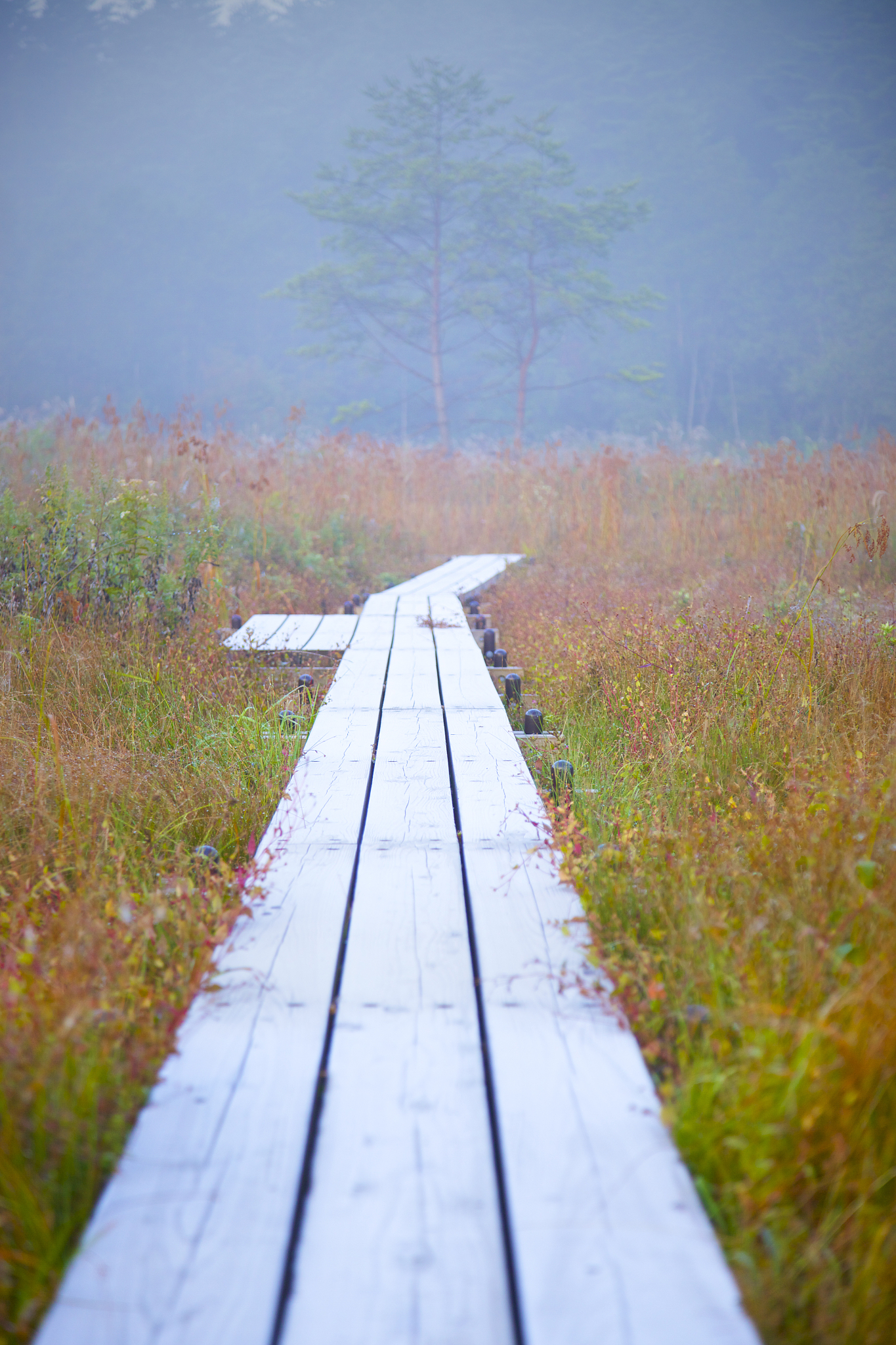 每一步艰辛,都是向梦想迈进的阶梯
