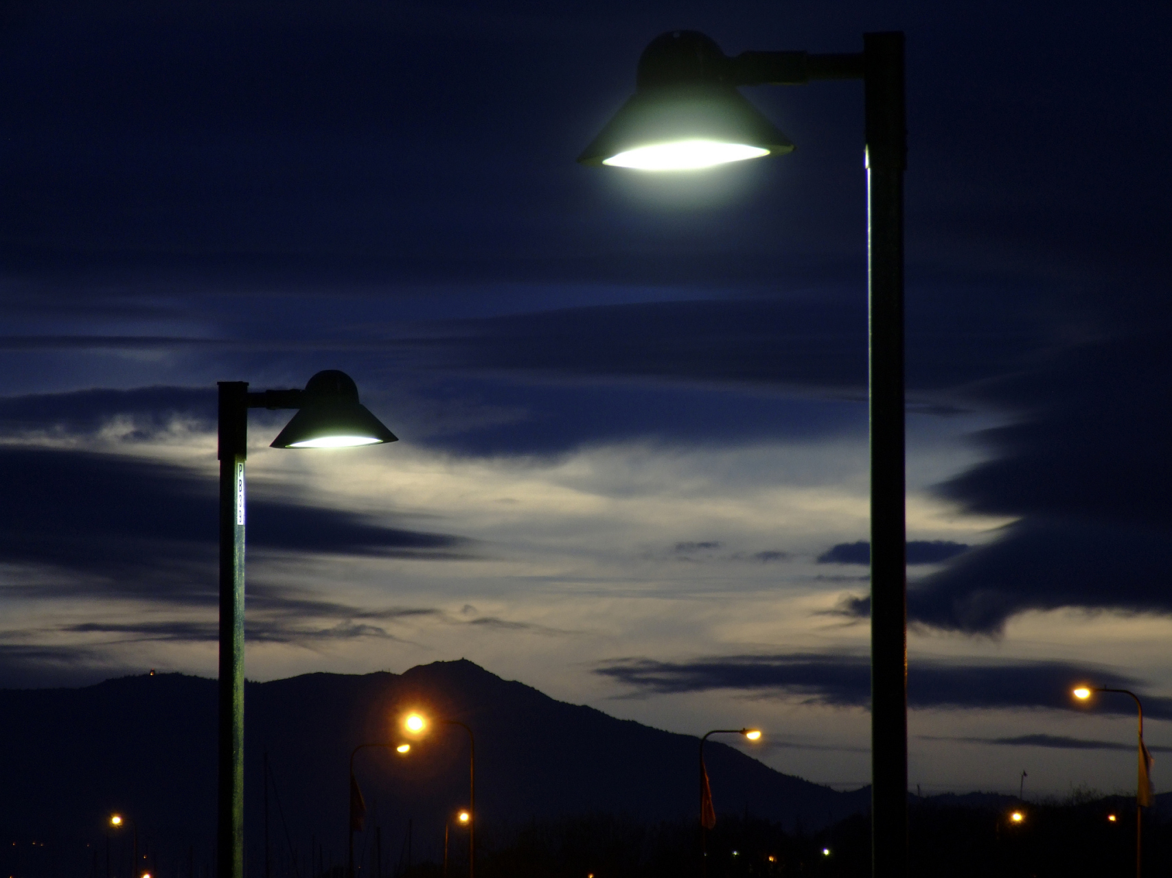 黑夜中的街道被路灯点缀,显得格外幽静.