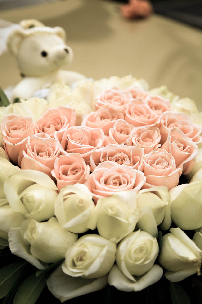 99朵粉玫瑰花语是什么(99朵粉玫瑰花语是什么花)