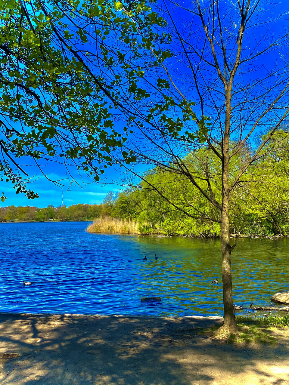 1,心态平衡,不攀不比…～  2,清淡简单,你吃大鱼大肉,我粗茶淡饭照
