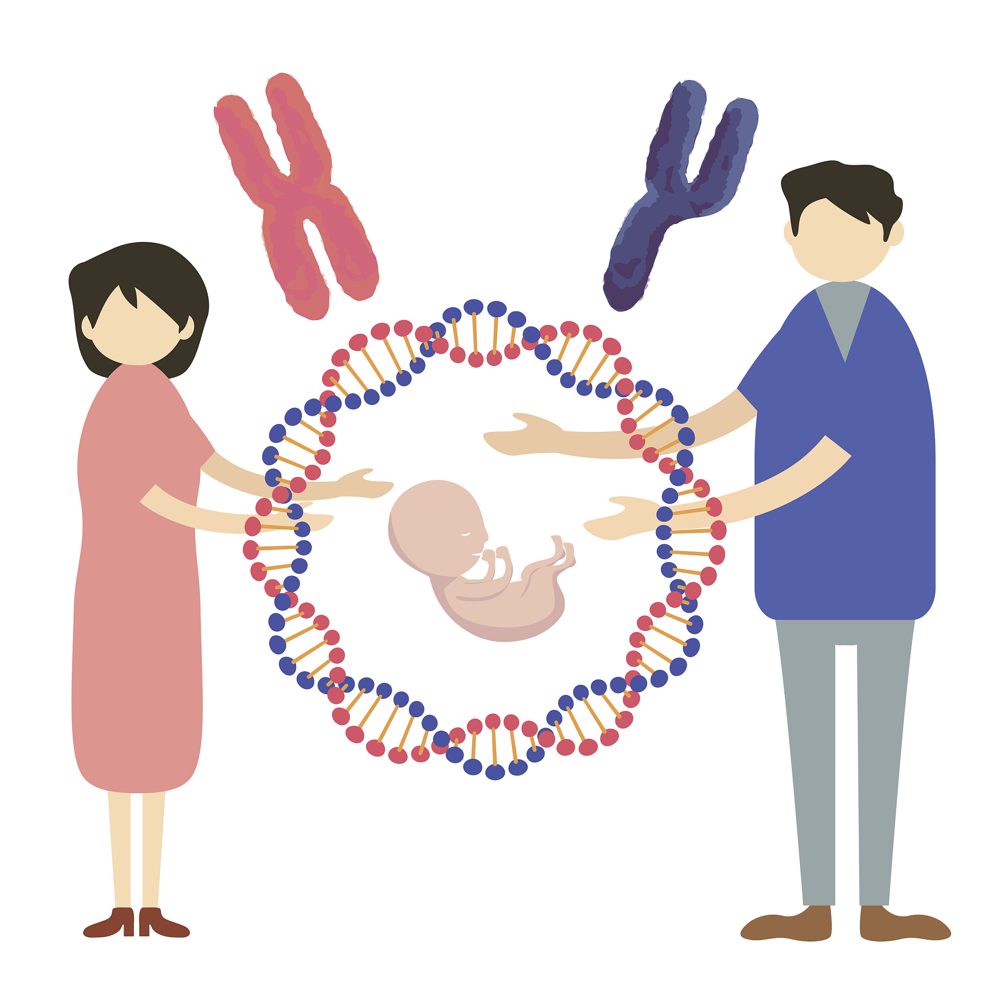 夫妻谁的基因决定了孩子相貌及其他遗传特性探析