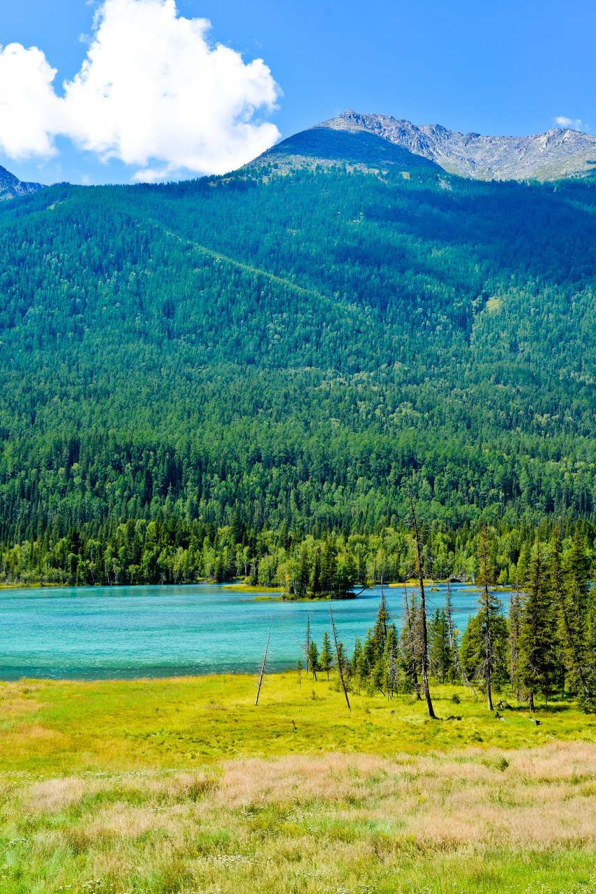 探秘神的花园,感受阿勒泰喀纳斯景区的湖光山色与原始森林的神秘
