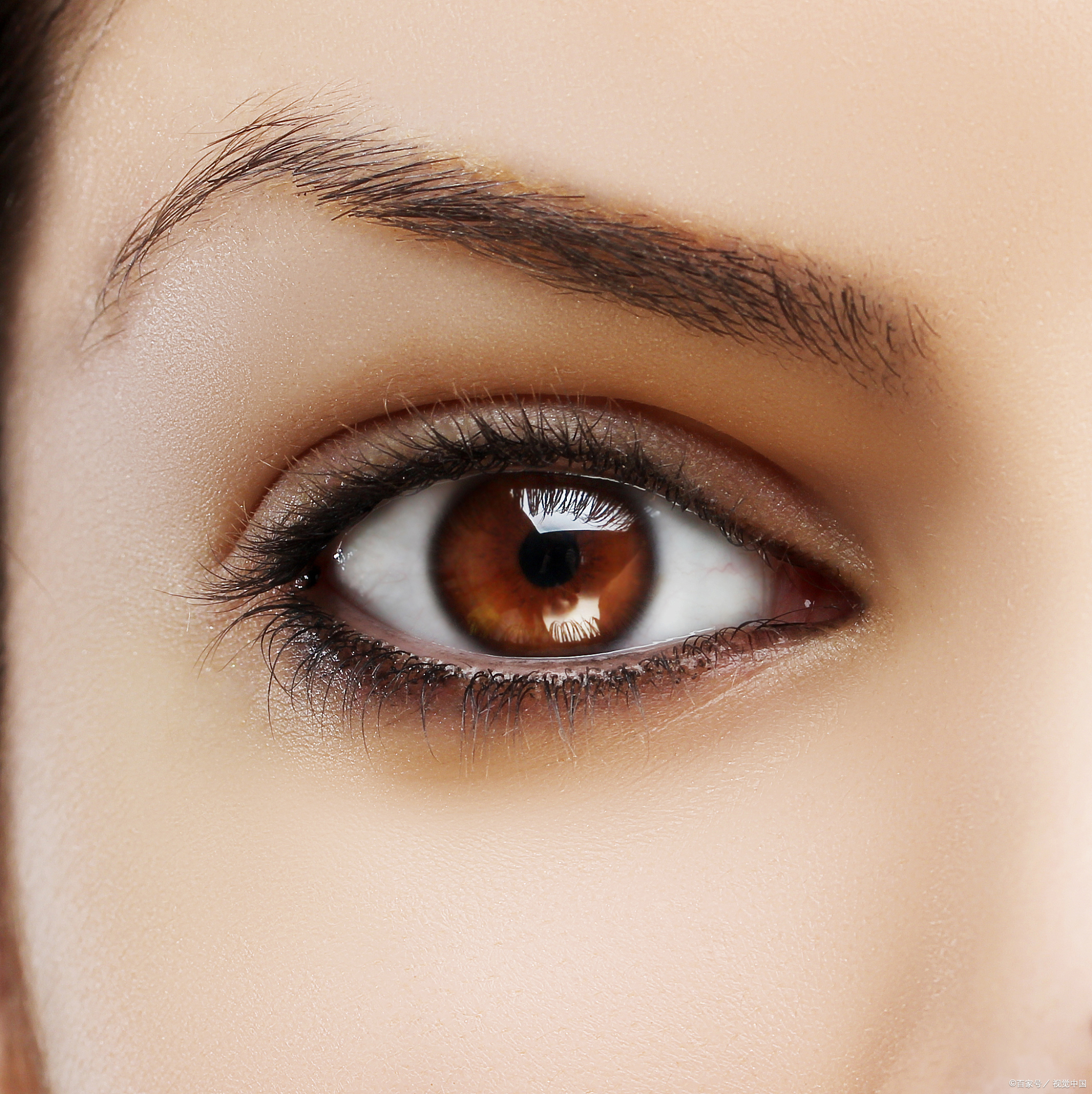 领悟生活的艺术——心到,眼到,口到