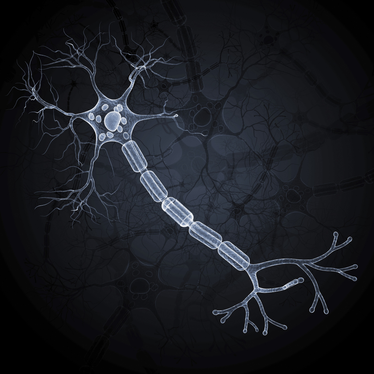 神经元:认知和行为的基础,探索神经元的结构和功能#科普#