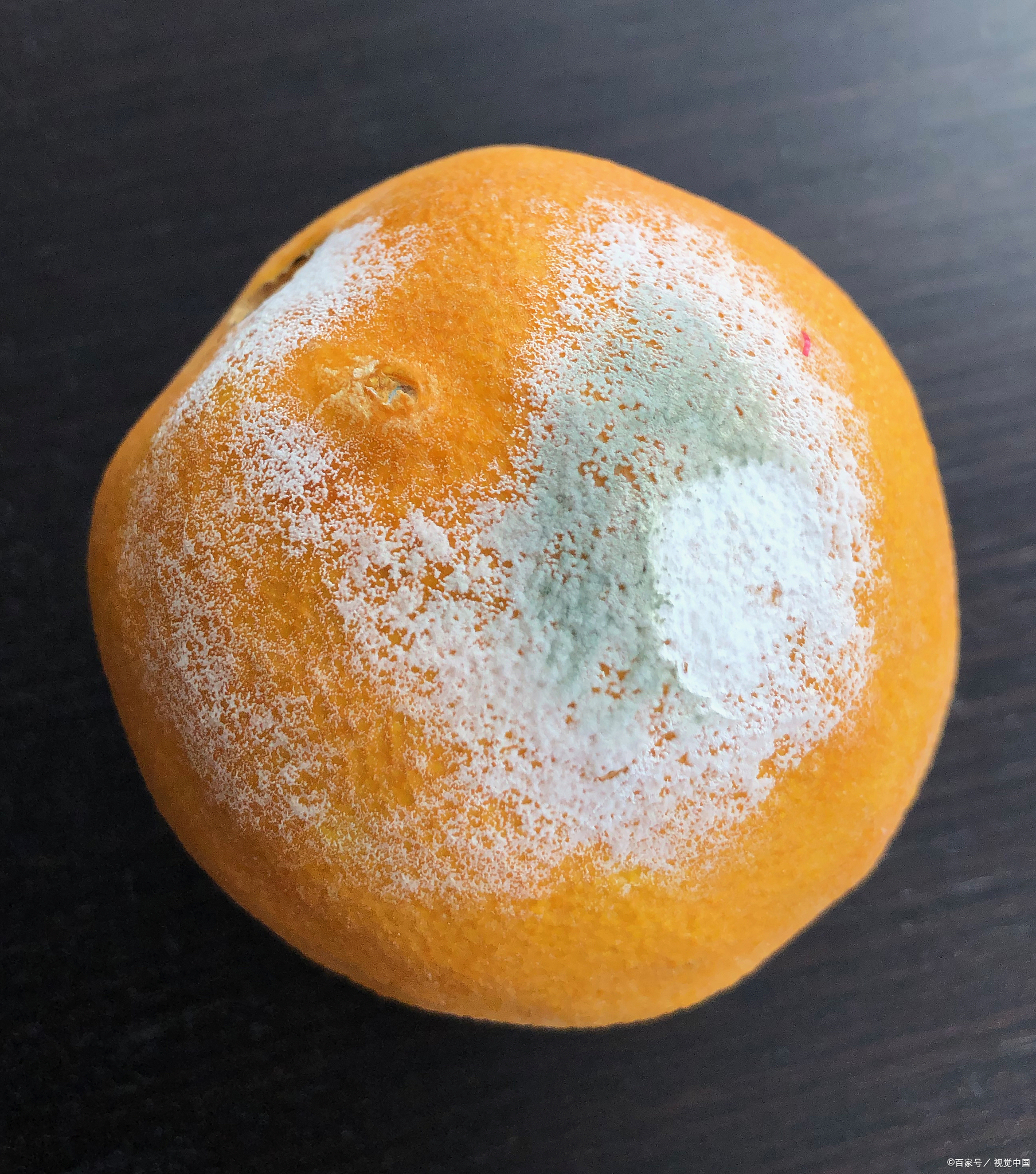 朋友和我说发霉的橘子别扔,说能卖钱