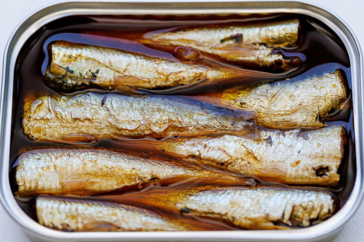 鱼是鱼产品经过处理并灌装在密封的罐头中,以延长其保质期的一种食品