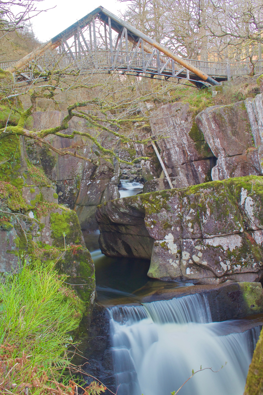 迁西雨花谷景区简介|迁西雨花谷景区是一个以花海景观为特色的旅游