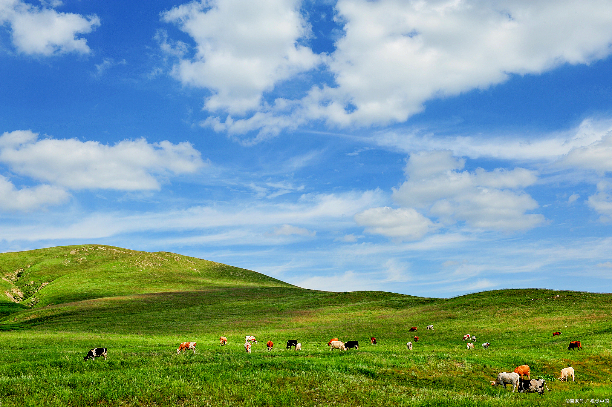 我的旅行日记# 锡林郭勒大草原自驾游攻略  草原上的蓝天下白云朵朵
