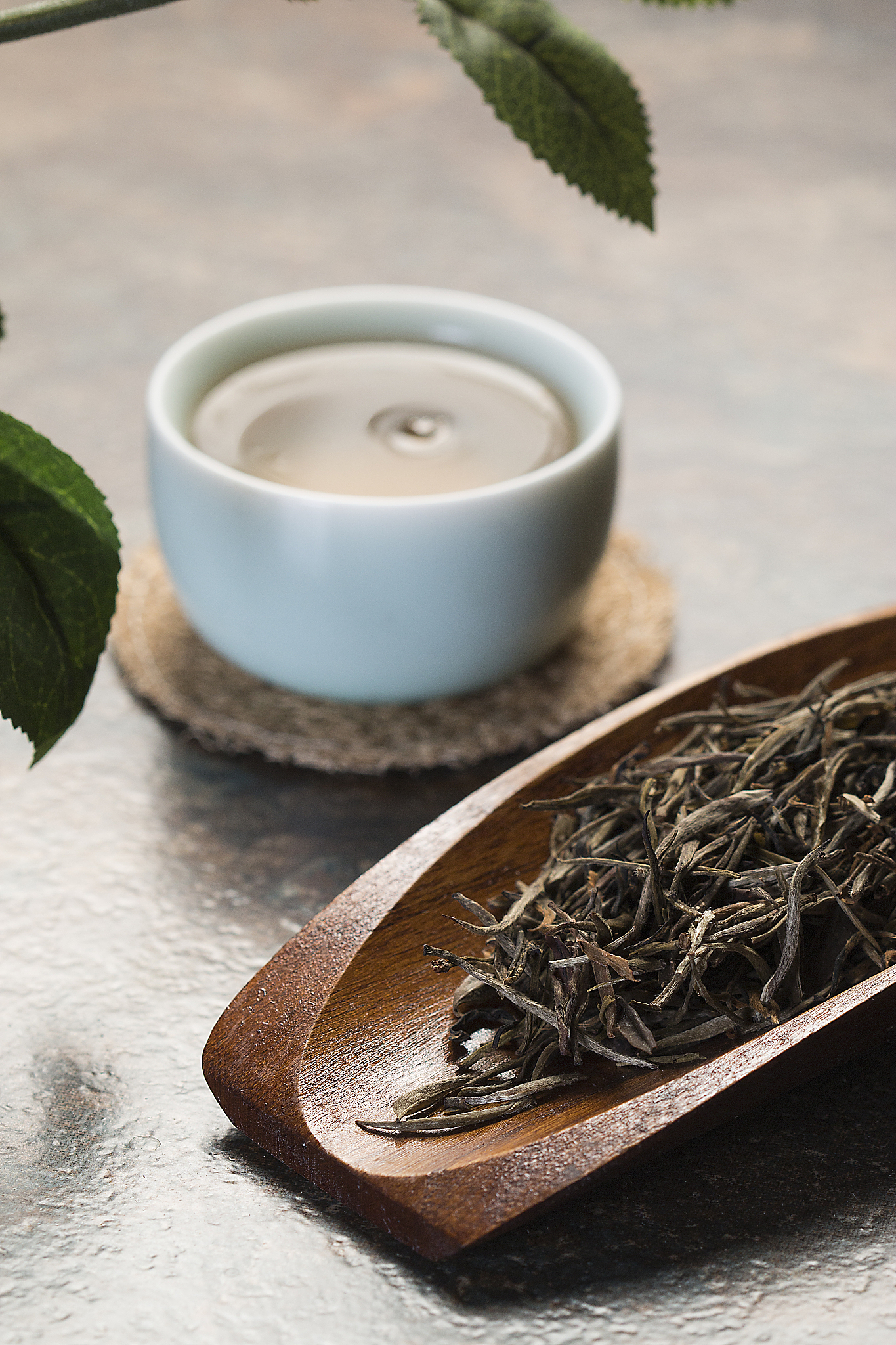 梅子箐茶农传承古树普洱,独特口感让你回味无穷