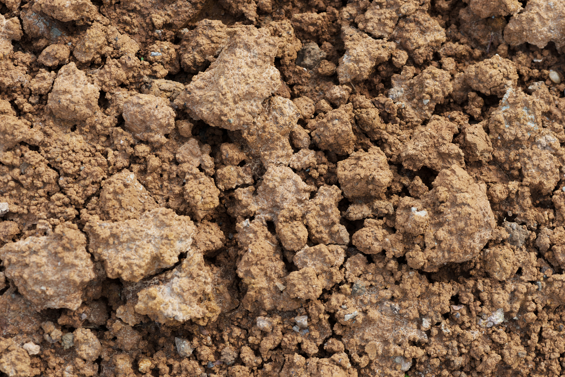 和粘土是三种不同的土壤类型,它们在颗粒大小,水分含量,通透性,质地