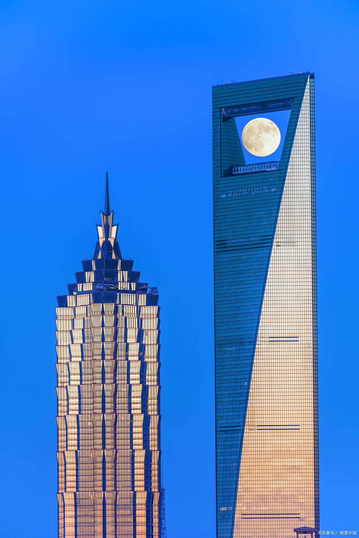 上海金茂大厦夜景图片