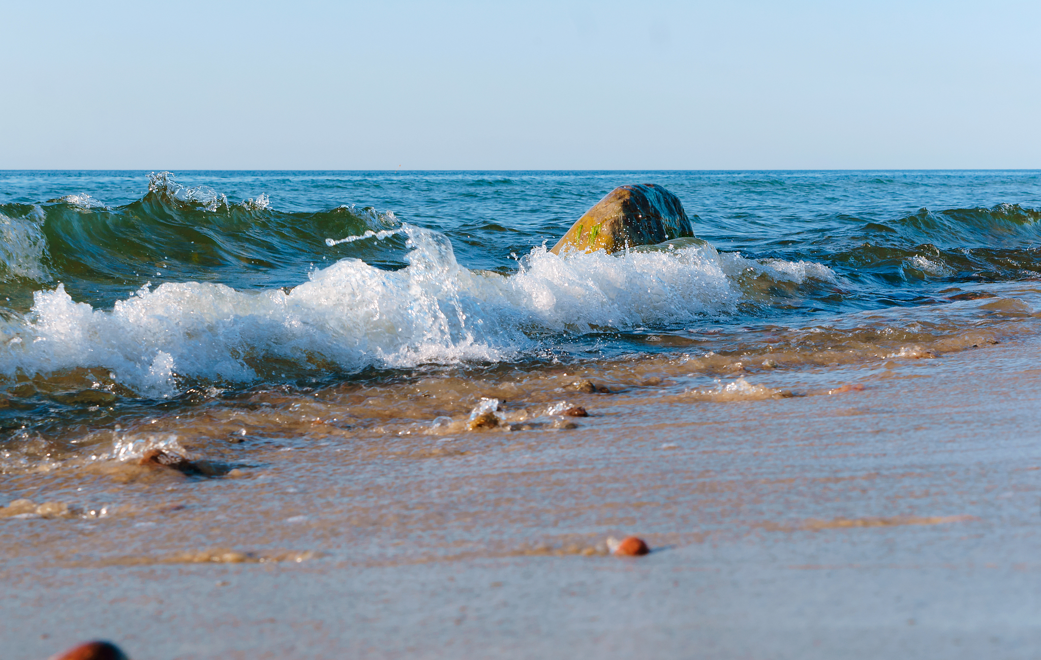 广西钦州的三娘湾海豚