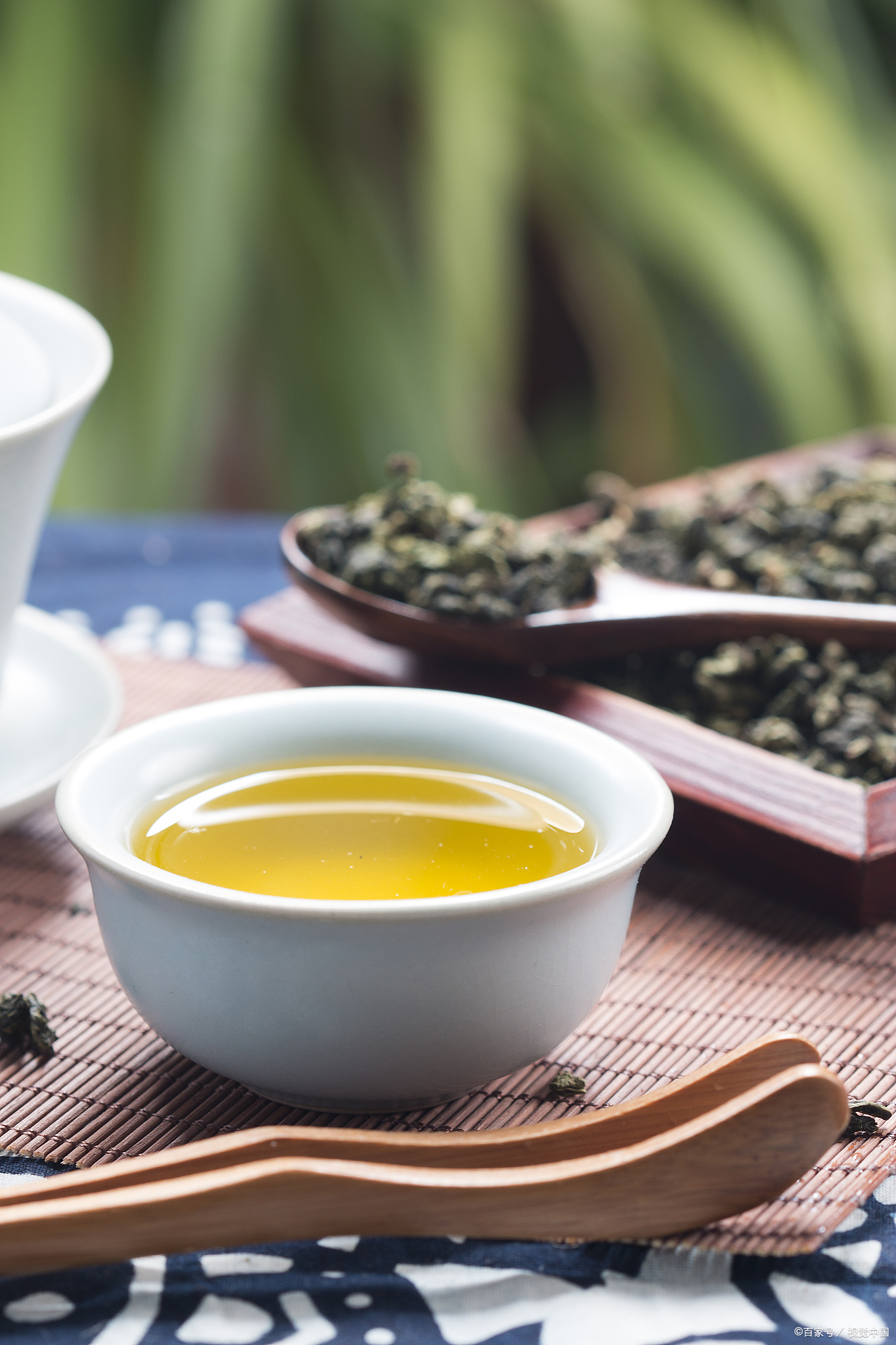 乌龙茶属于什么茶红茶还是绿茶