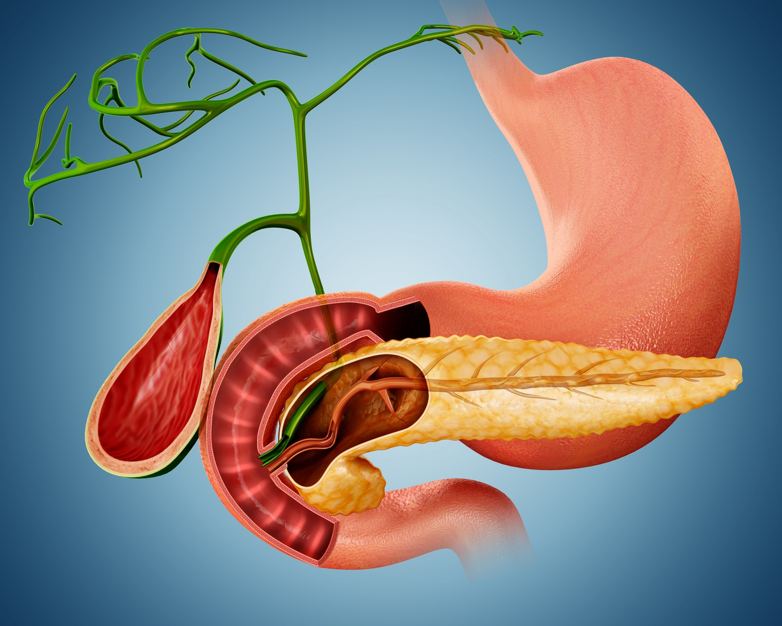 其实这种胆囊疾病不想手术,想观察的话,产生的危害在个体之间的差异