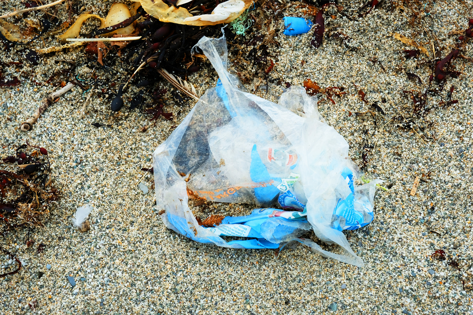 再问:怎么处理白色污染?同学答:多种树.