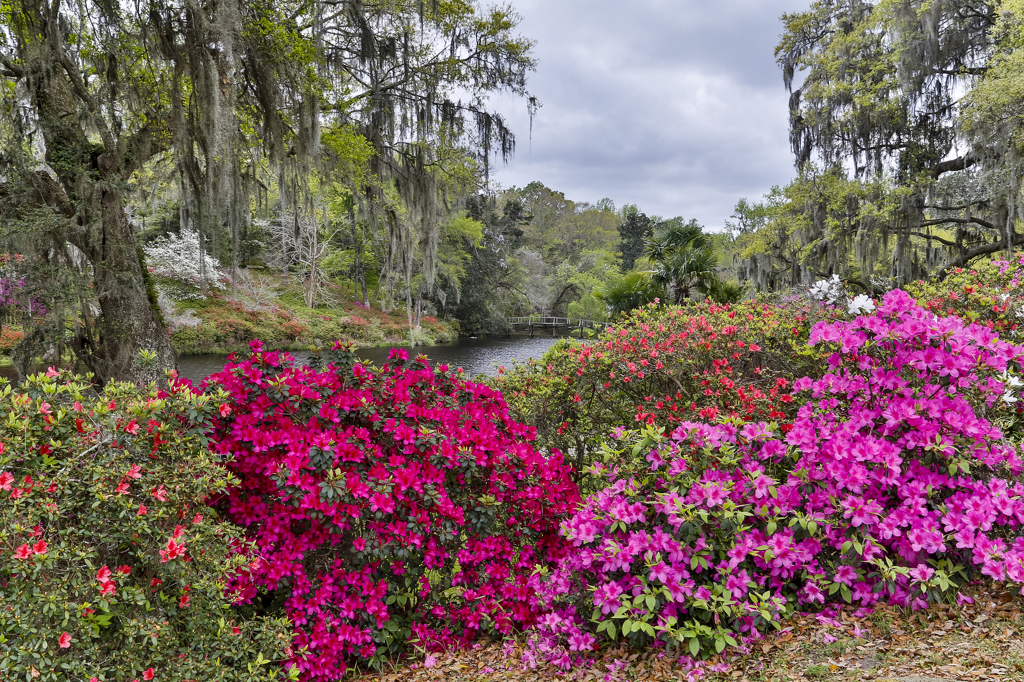 阮清颜傅景枭(完整版&大结局)阮清颜傅景枭小说全文阅读笔趣阁132