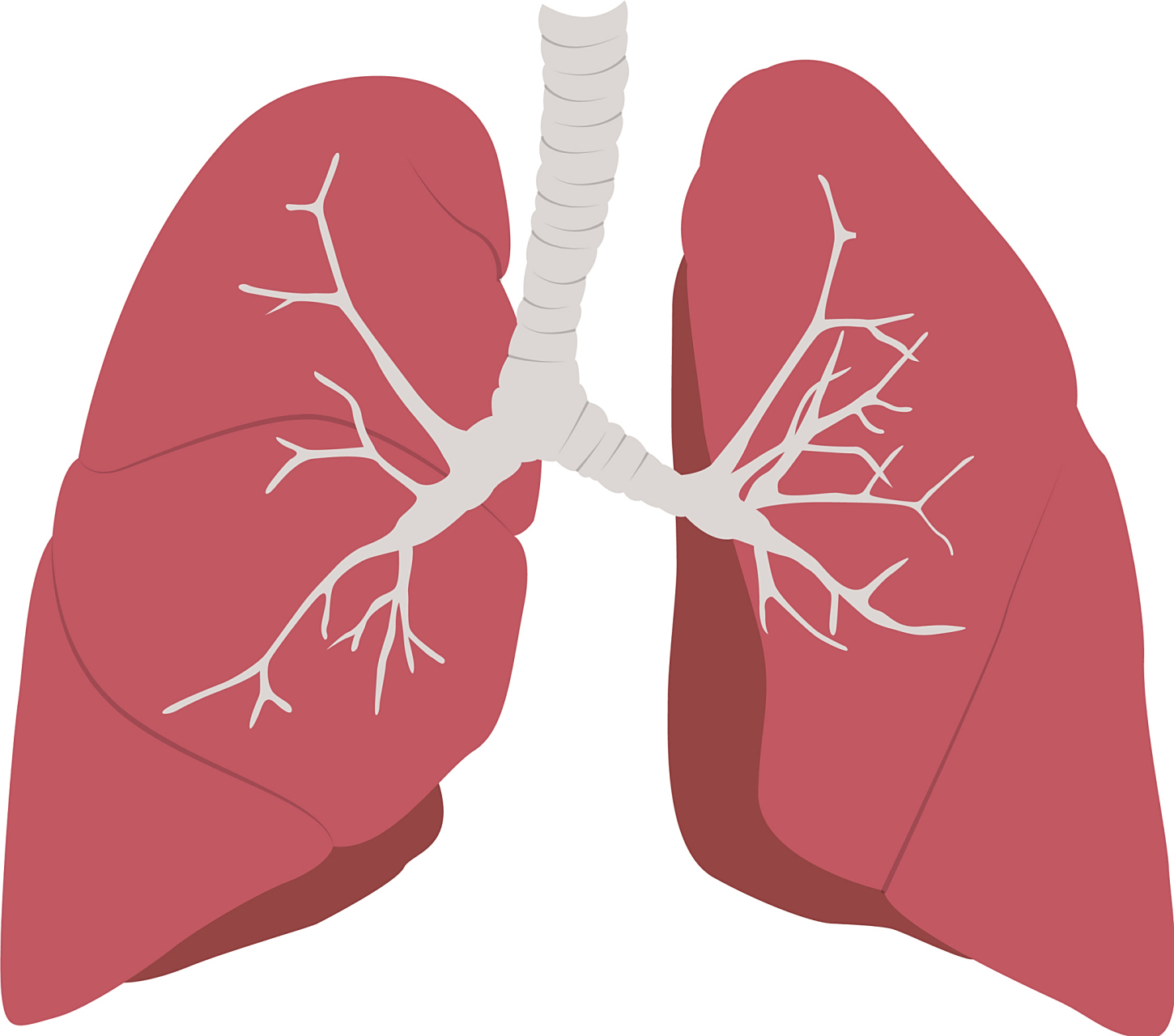 大家好,今天,我们就说一说关于支气管扩张,有的网友就会问,支气管
