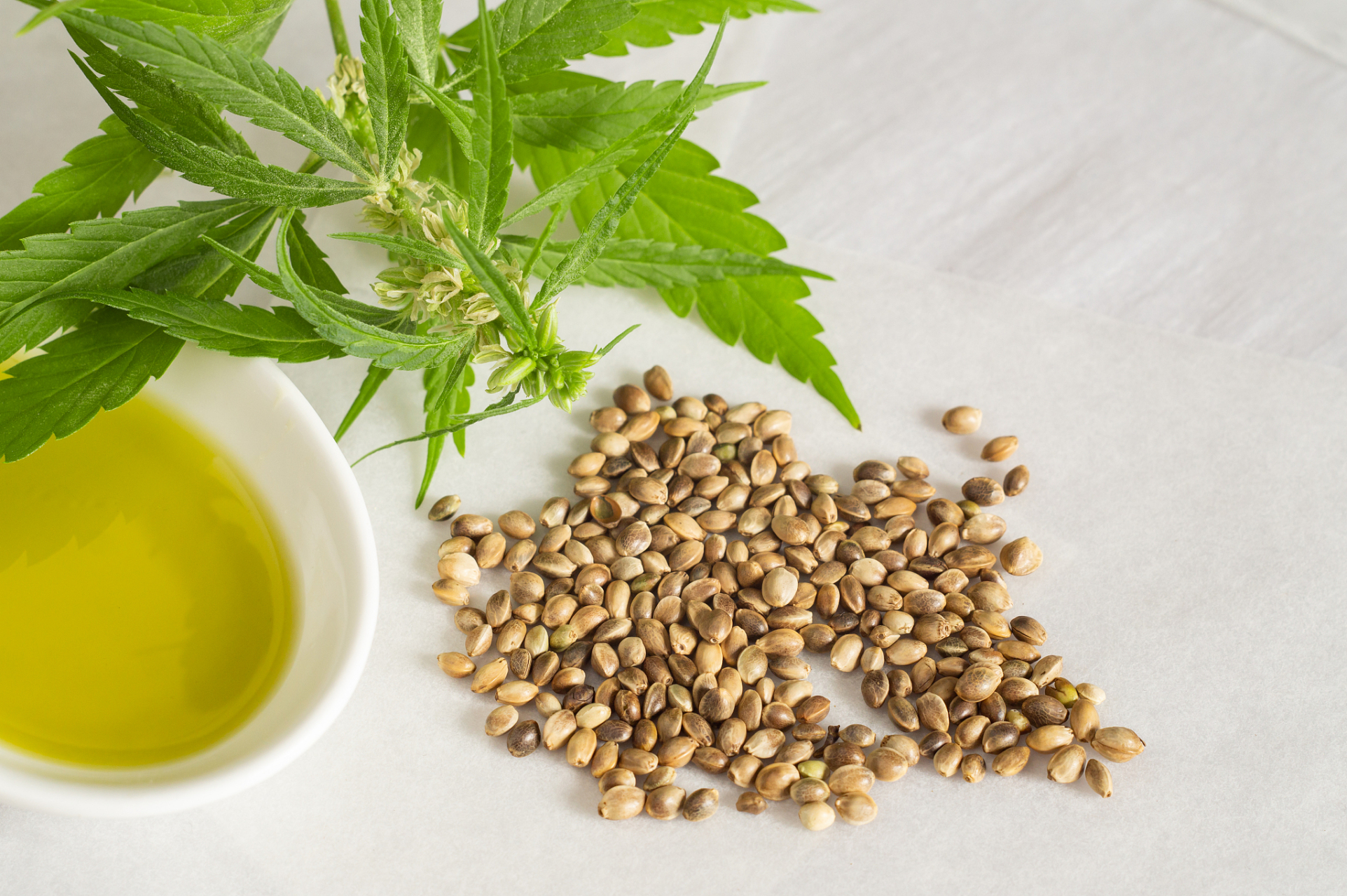 中药# #中药饮片# #乳腺炎# #中药治疗#   治疗乳腺炎的5味特效中 