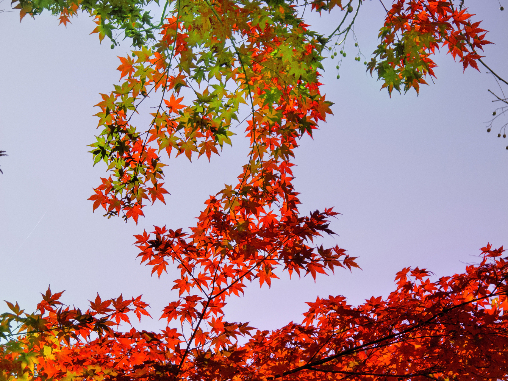 自我认知是优化人际关系的前提: 深入了解自己的情感