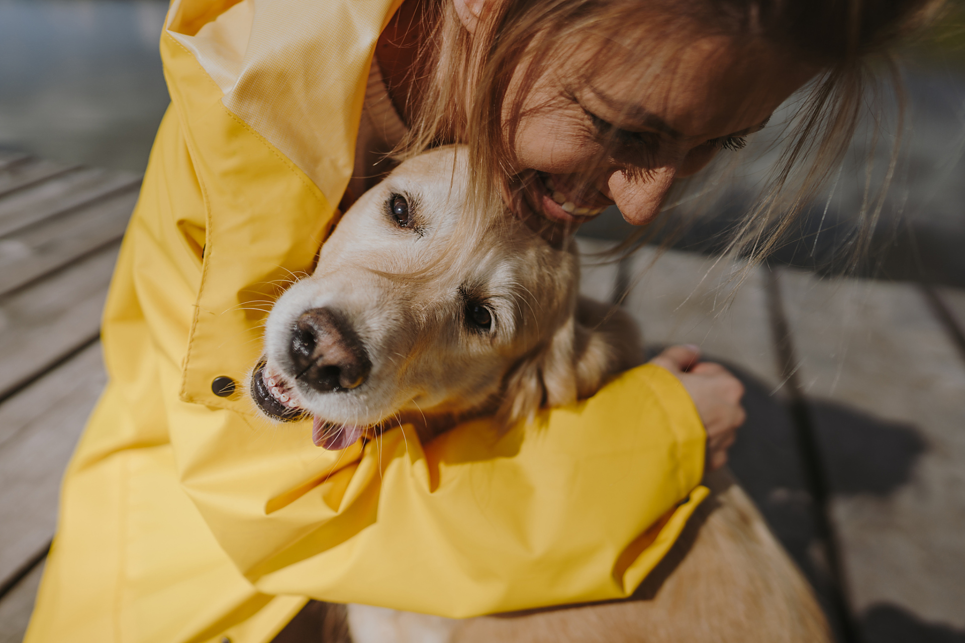 别灰心,因为有一种方式可以让你得到温暖的拥抱,那就是抱狗!