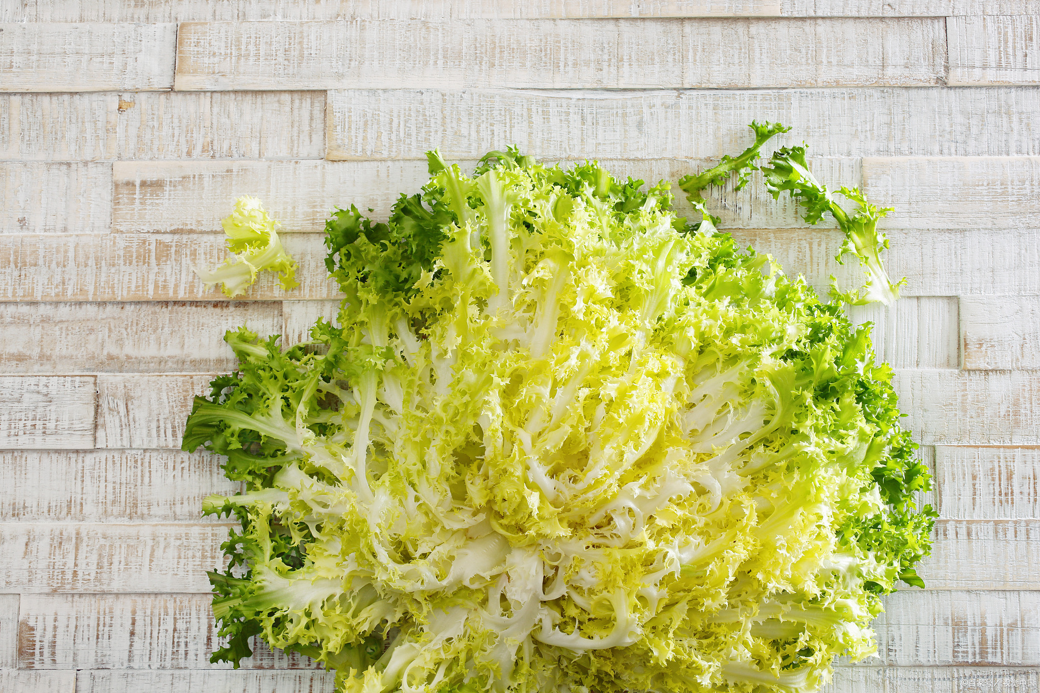 菊花菜是发物吗 baijiahao.baidu.com